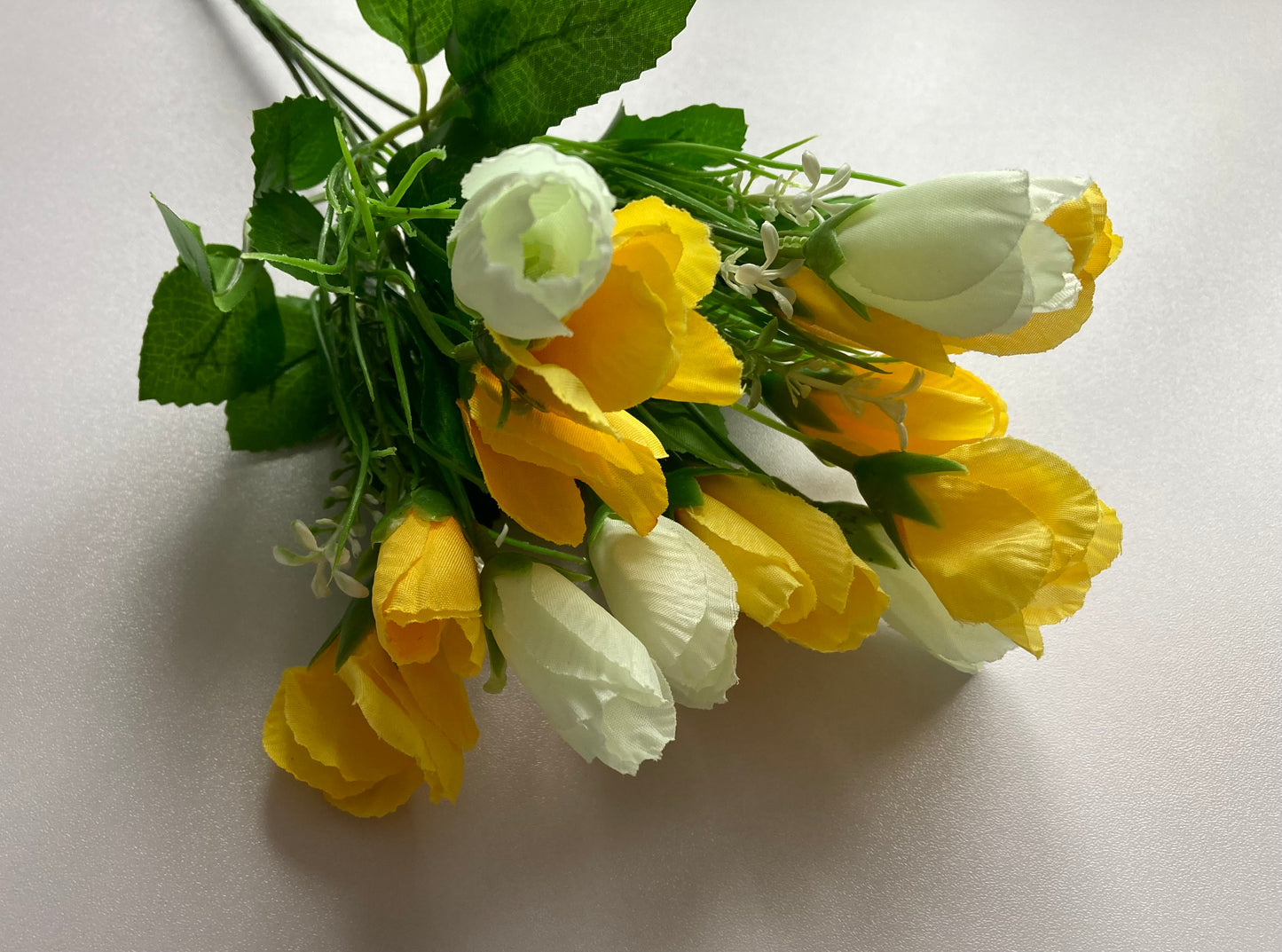 Yellow Crocus Bunch