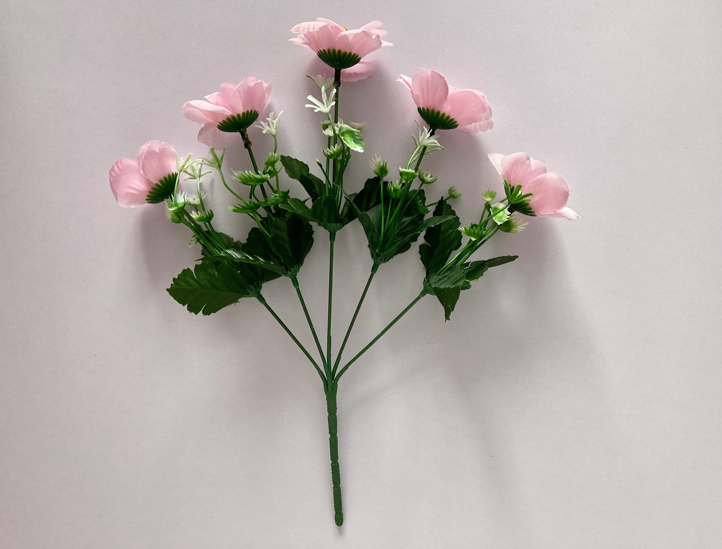 5 Pink Anemone Bunch