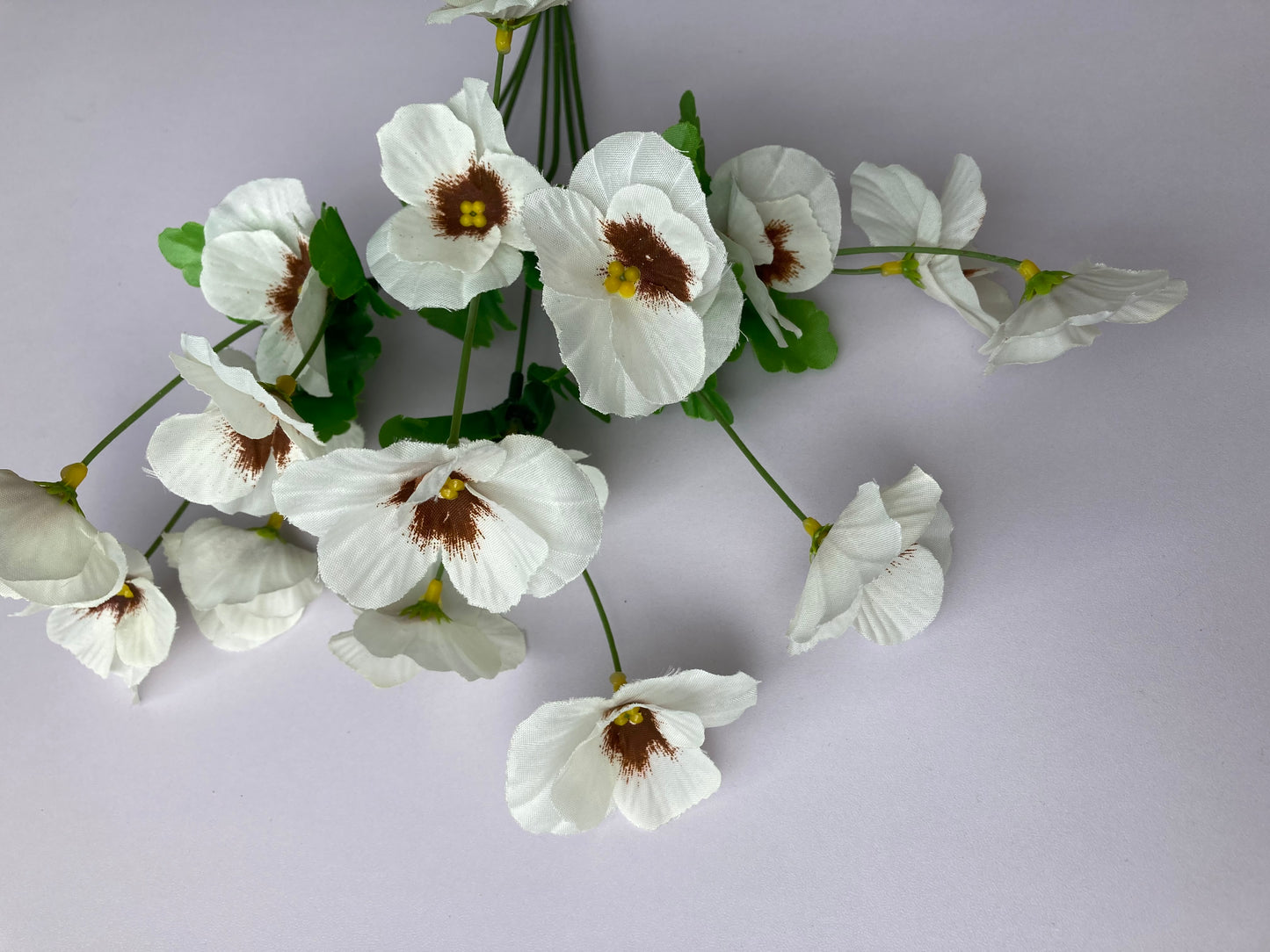White Pansy Bunch