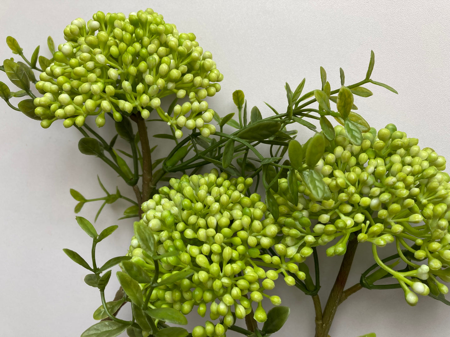 Green Cluster Berry 3 Stems