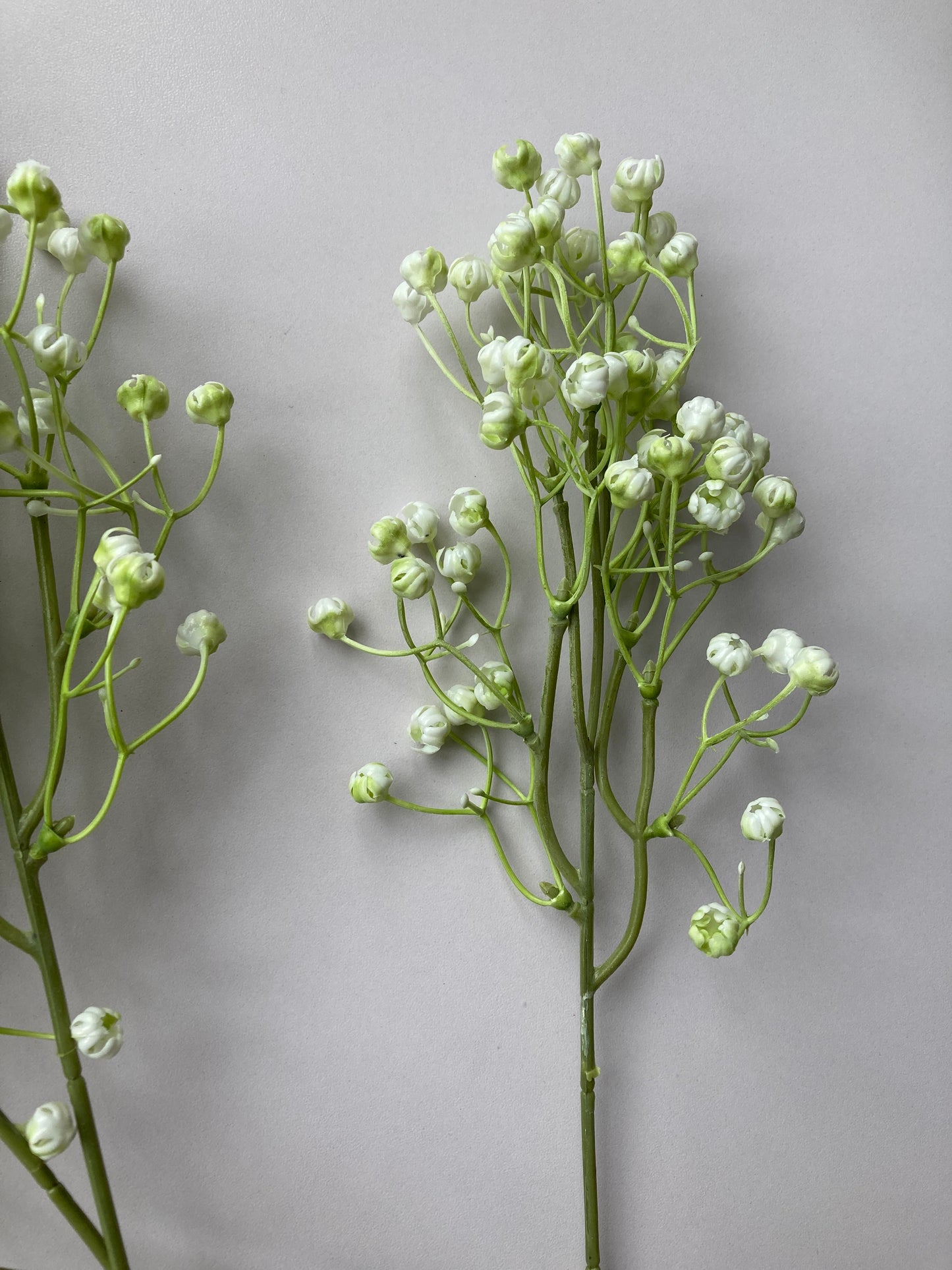 White Baby's Breath Bunch