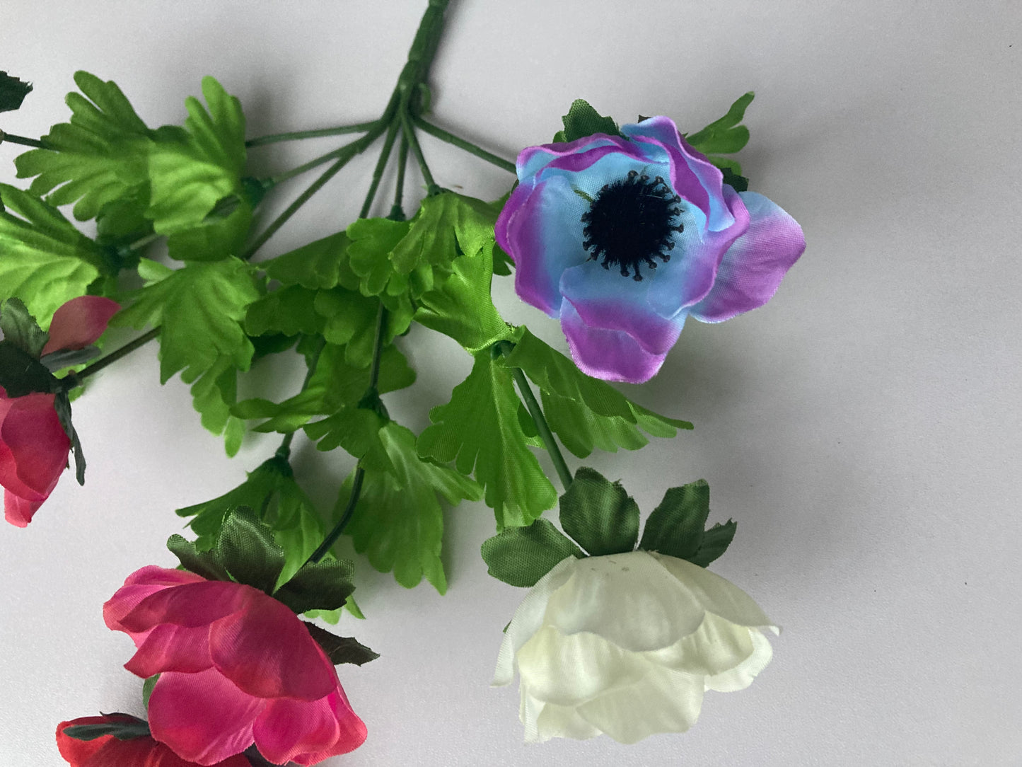 Colourful Anemone Bunch