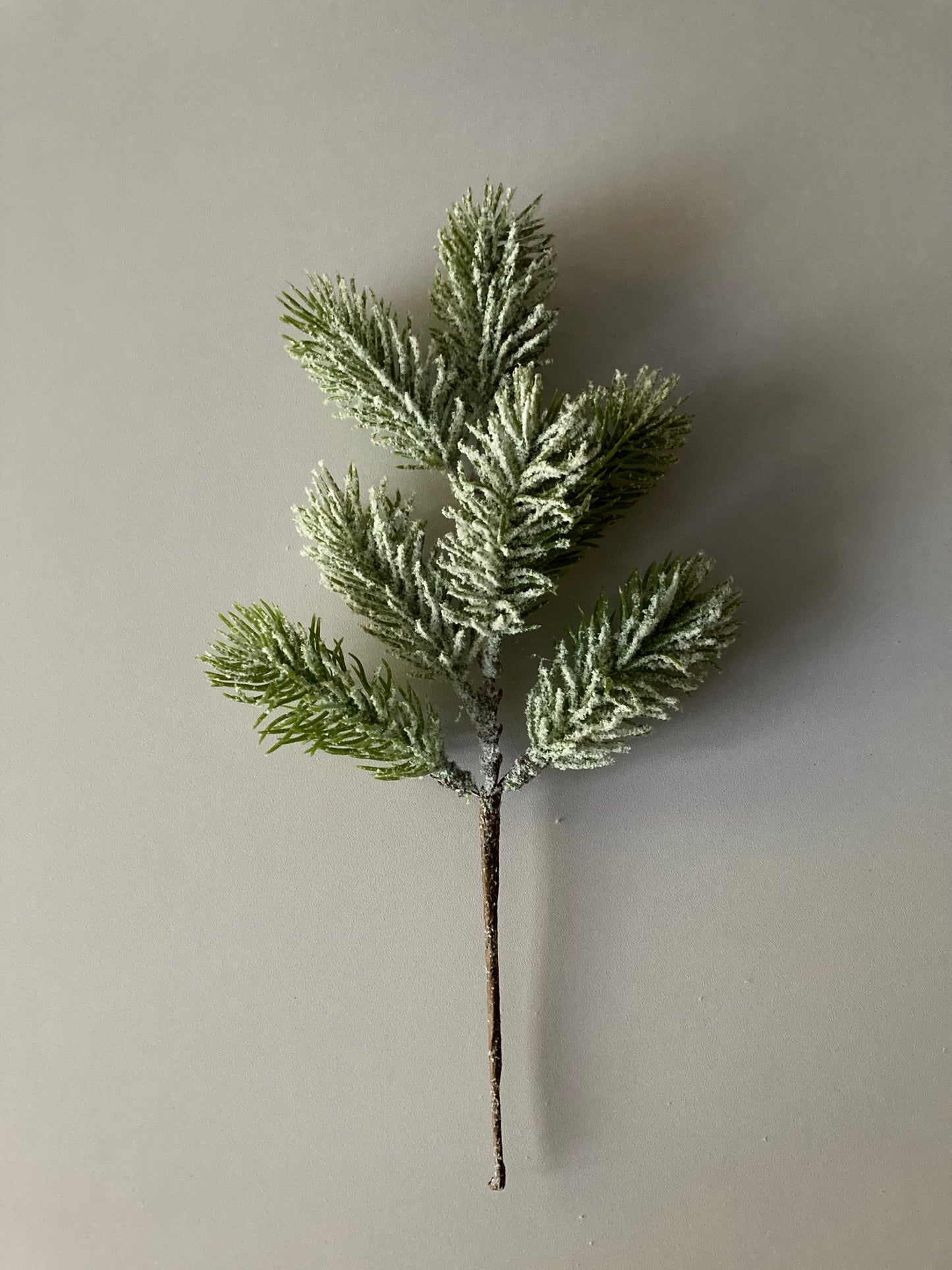Snowy Spruce Stem