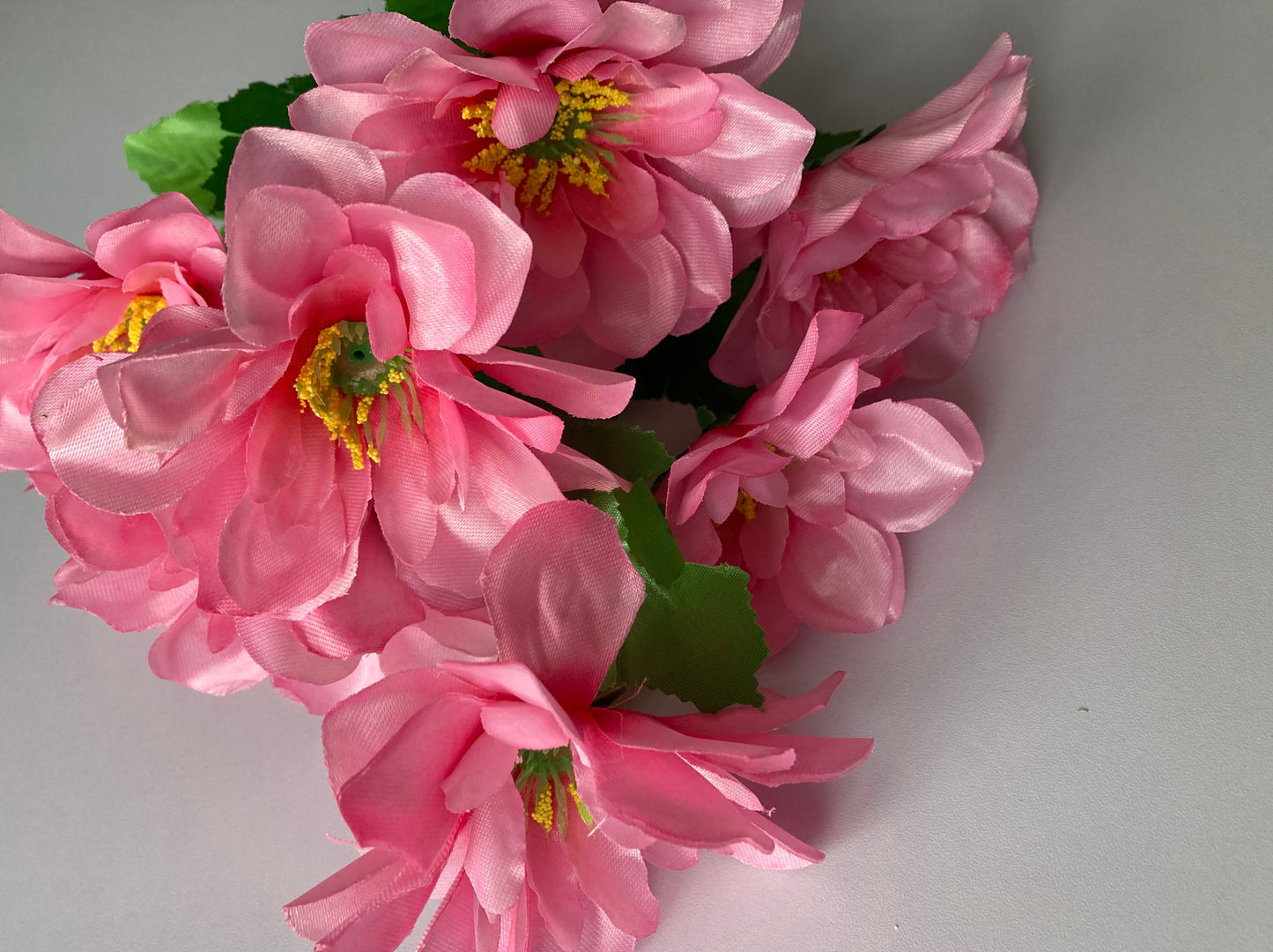 Pink Dahlia Bunch