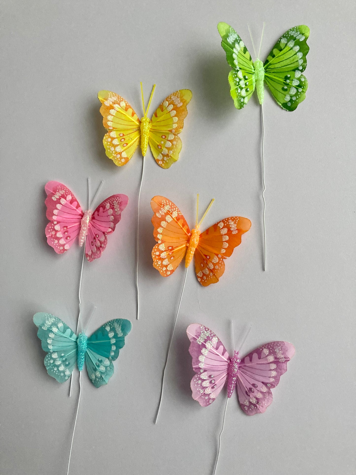 6 Colourful Butterfly Picks