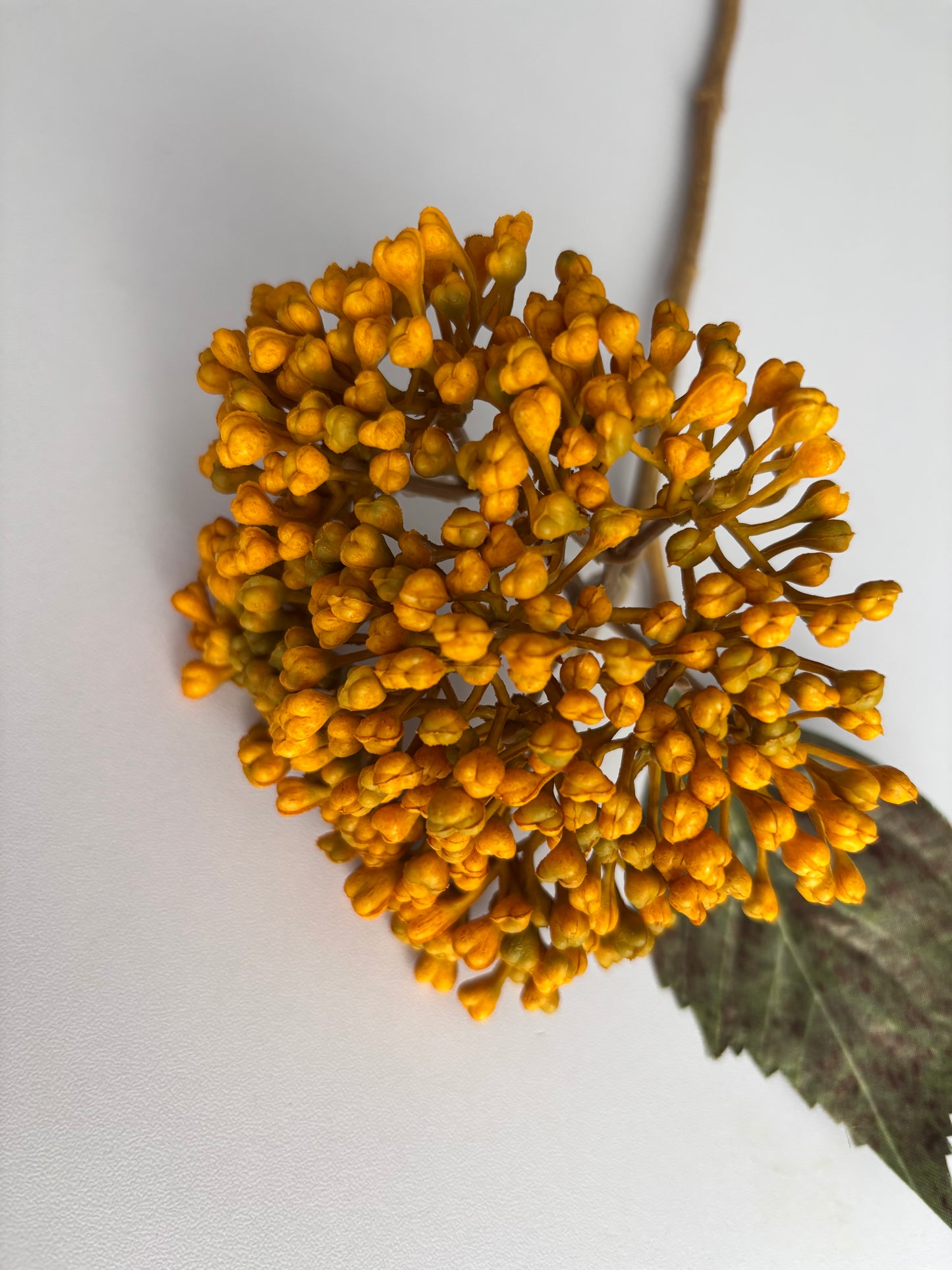 Mustard/Yellow Hydrangea Berry Stem