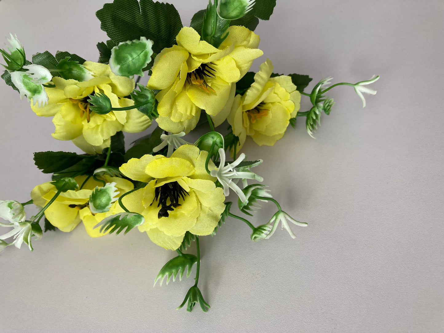 5 Bright Yellow Anemone Bunch