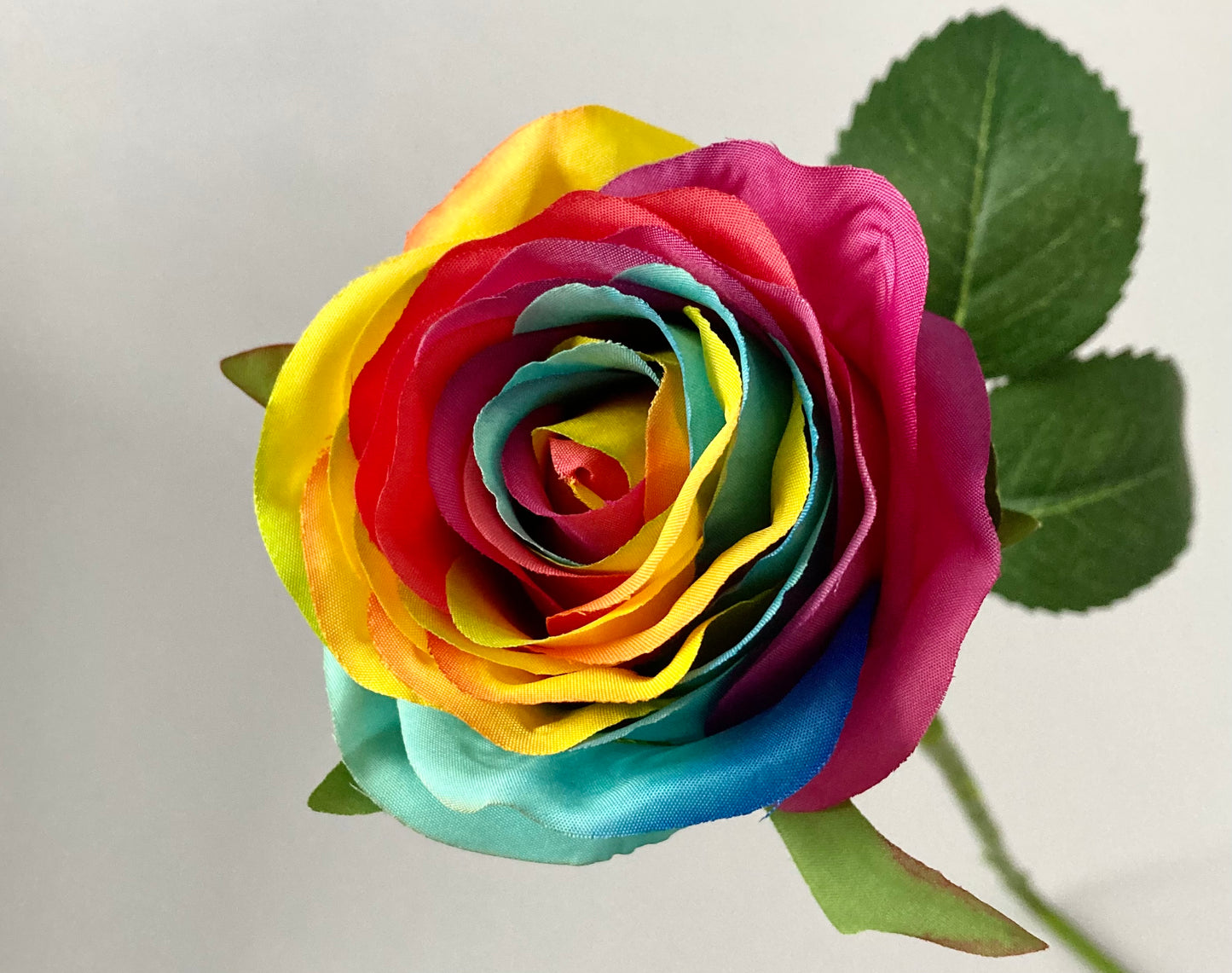 50cm Rainbow Rosebud Single Stem