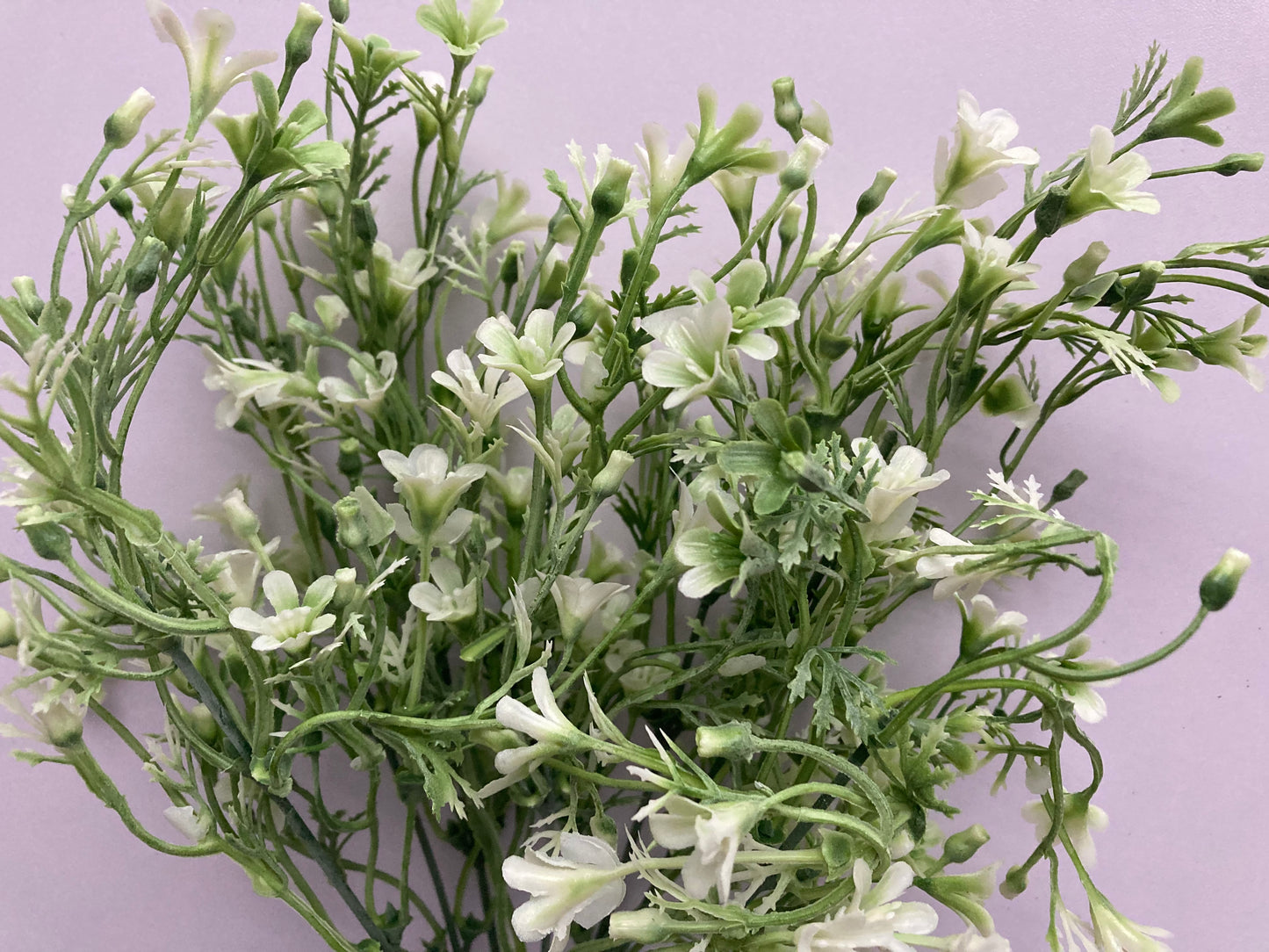 White & Green Flowered Foliage
