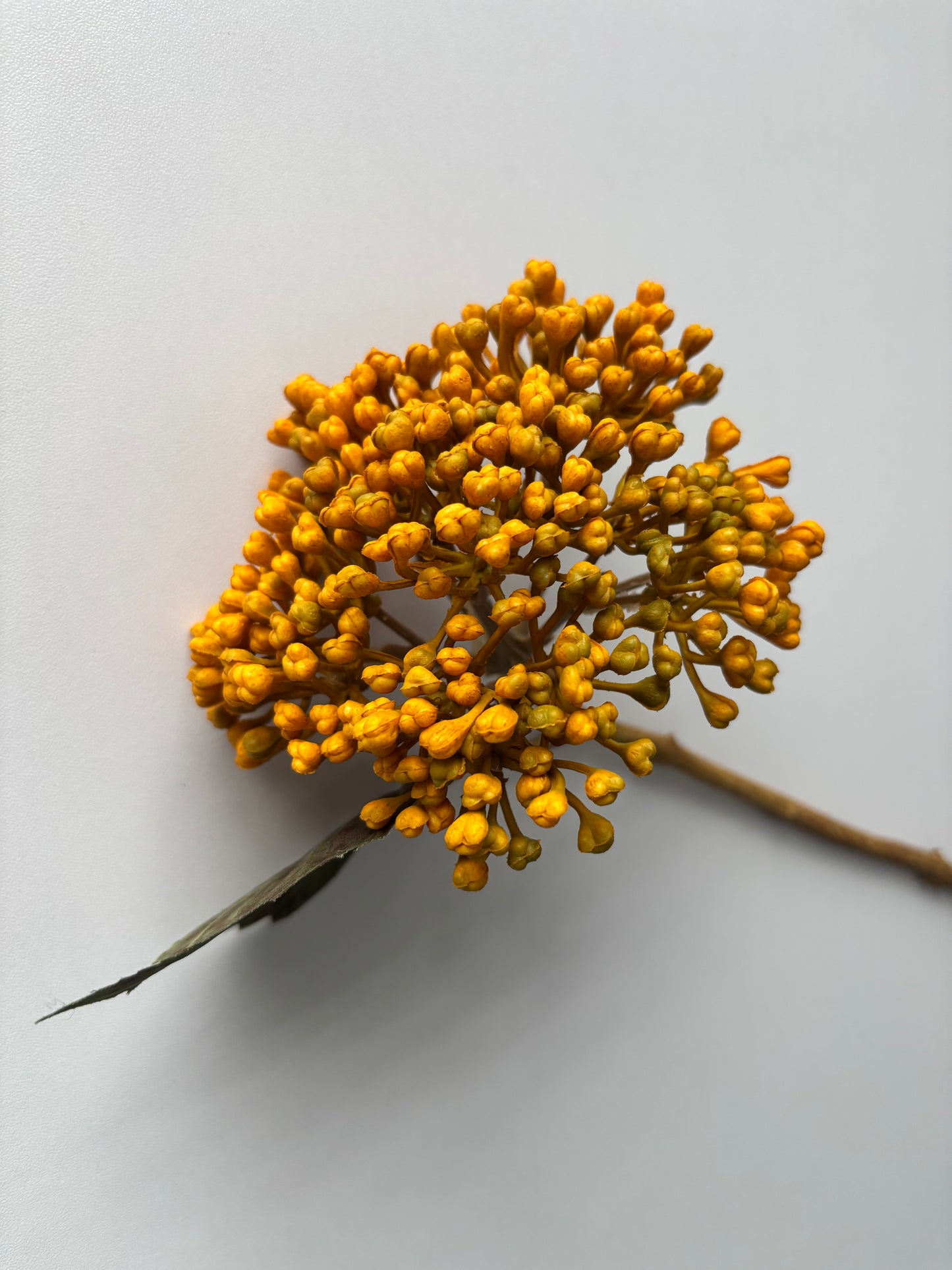 Mustard/Yellow Hydrangea Berry Stem