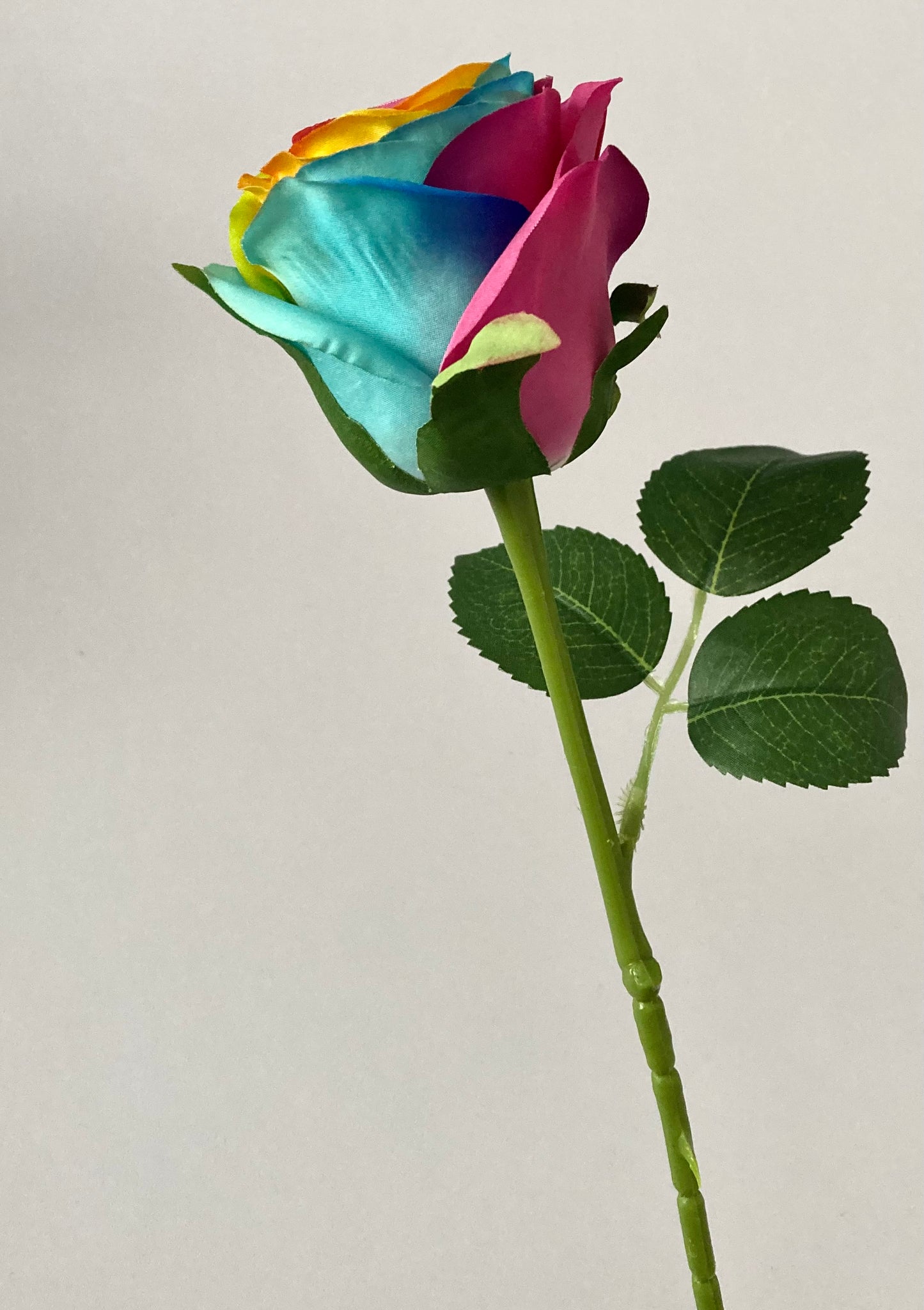 50cm Rainbow Rosebud Single Stem