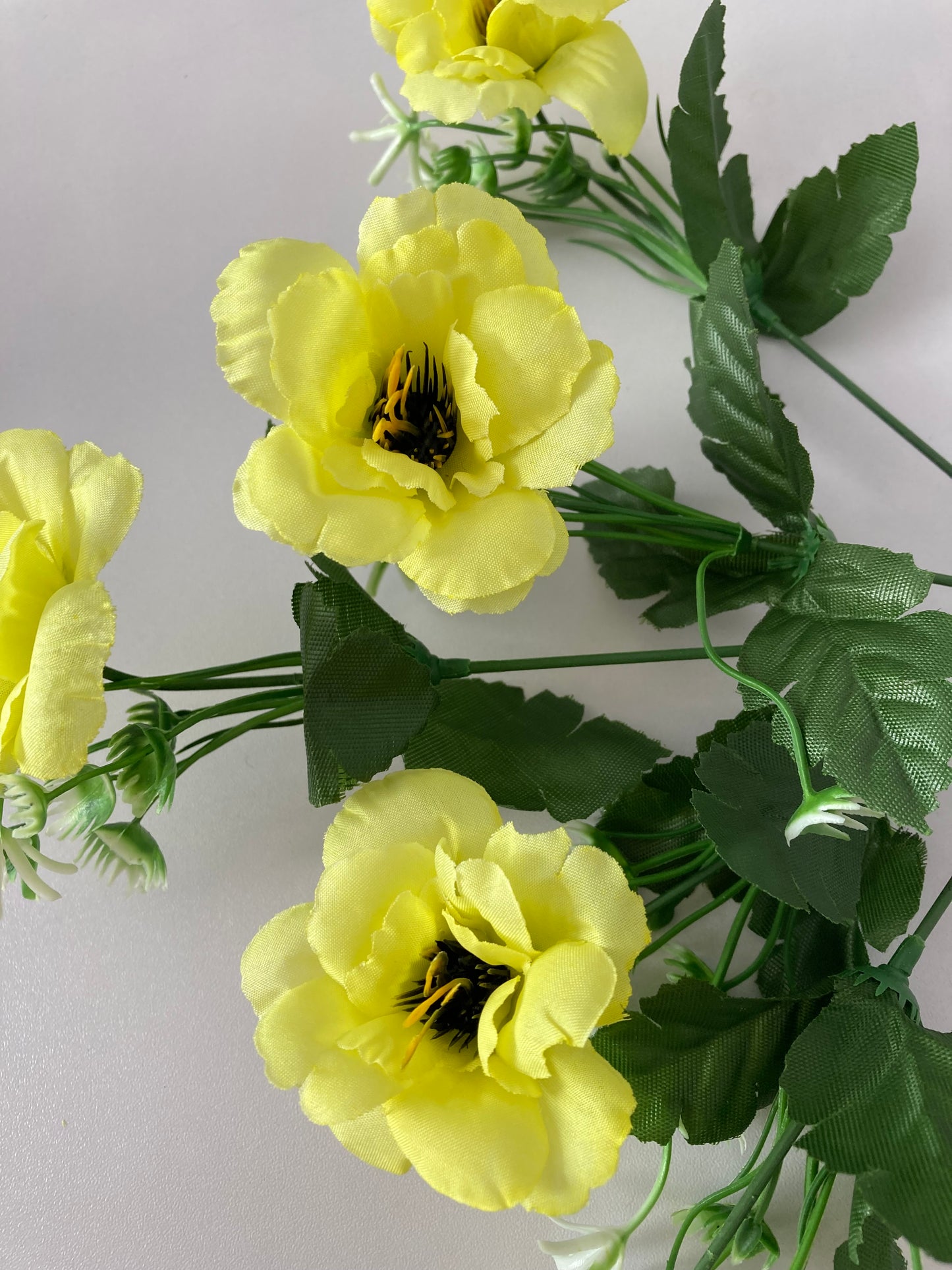 5 Bright Yellow Anemone Bunch
