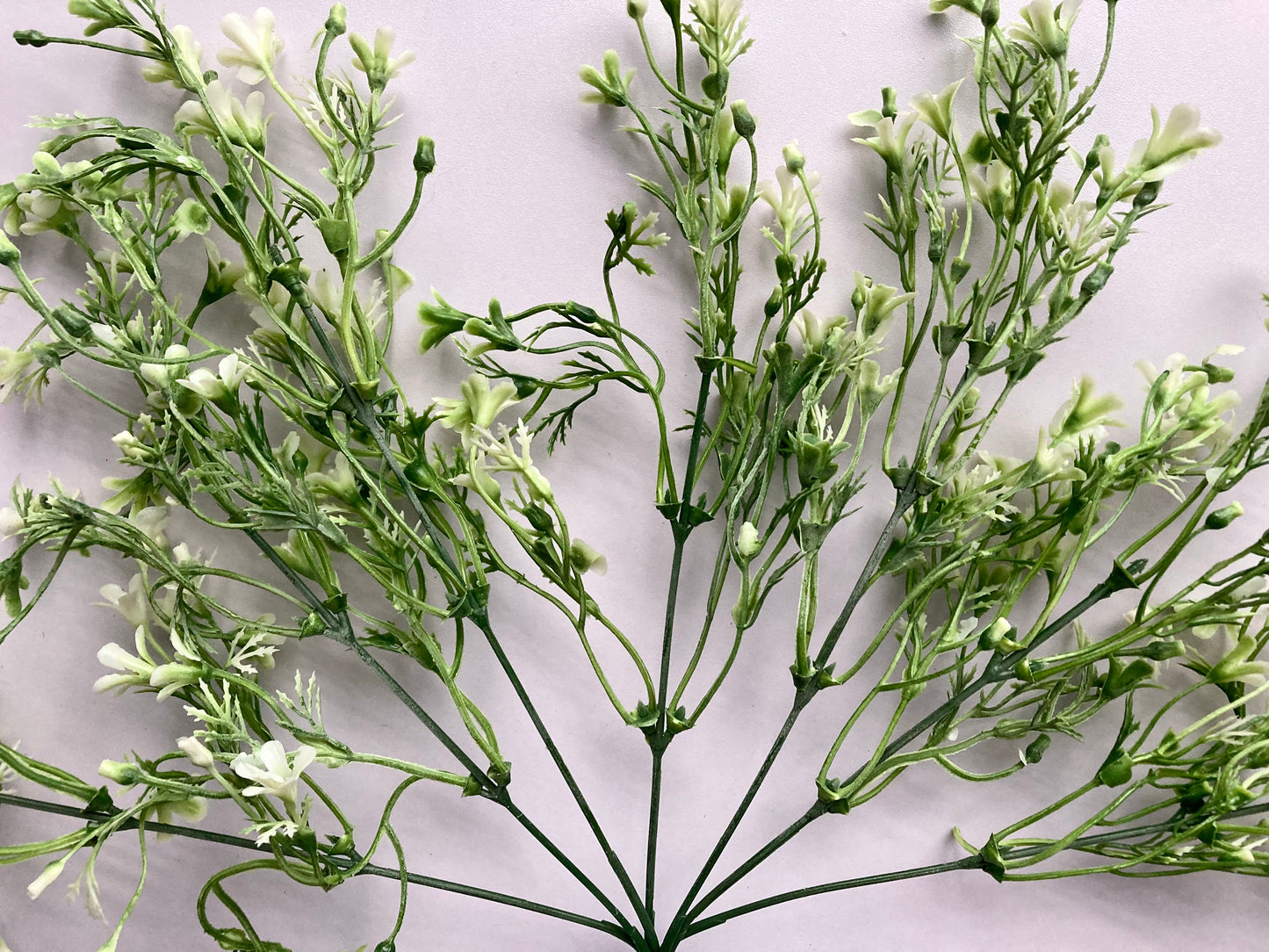 White & Green Flowered Foliage