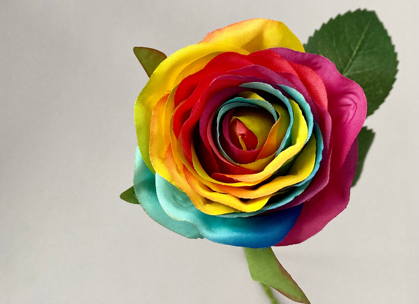 50cm Rainbow Rosebud Single Stem