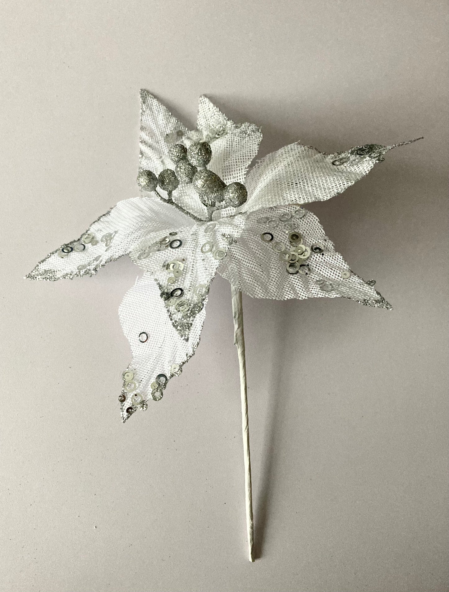 White & Silver Poinsettia
