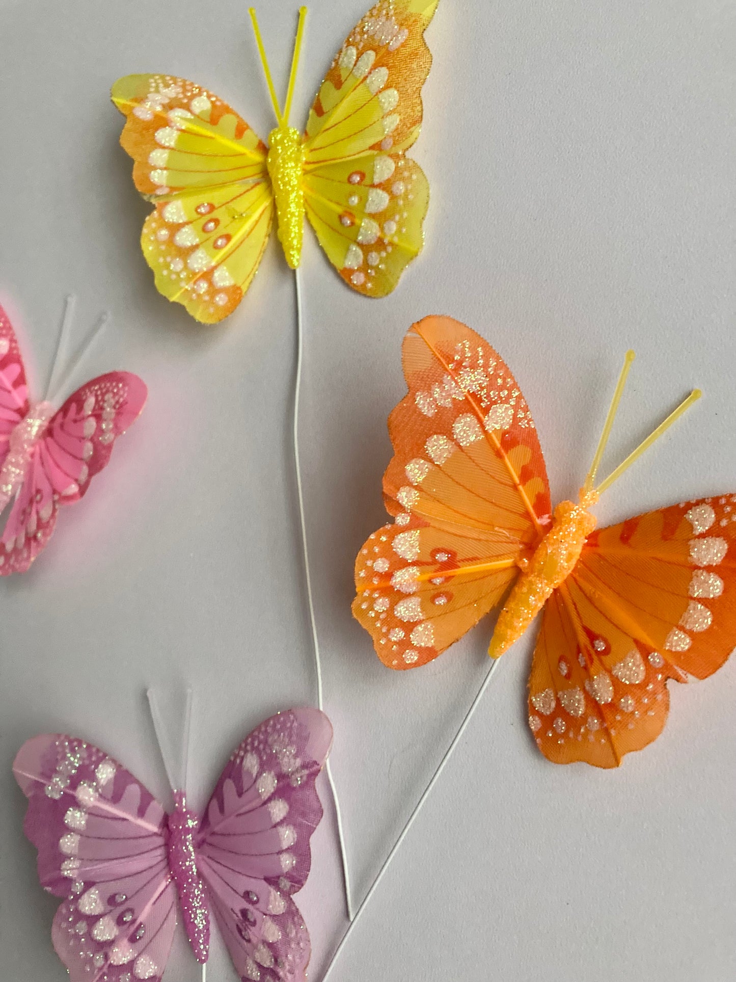 6 Colourful Butterfly Picks