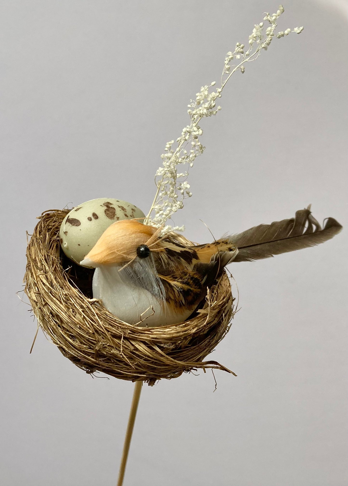 Bird Nest Pick