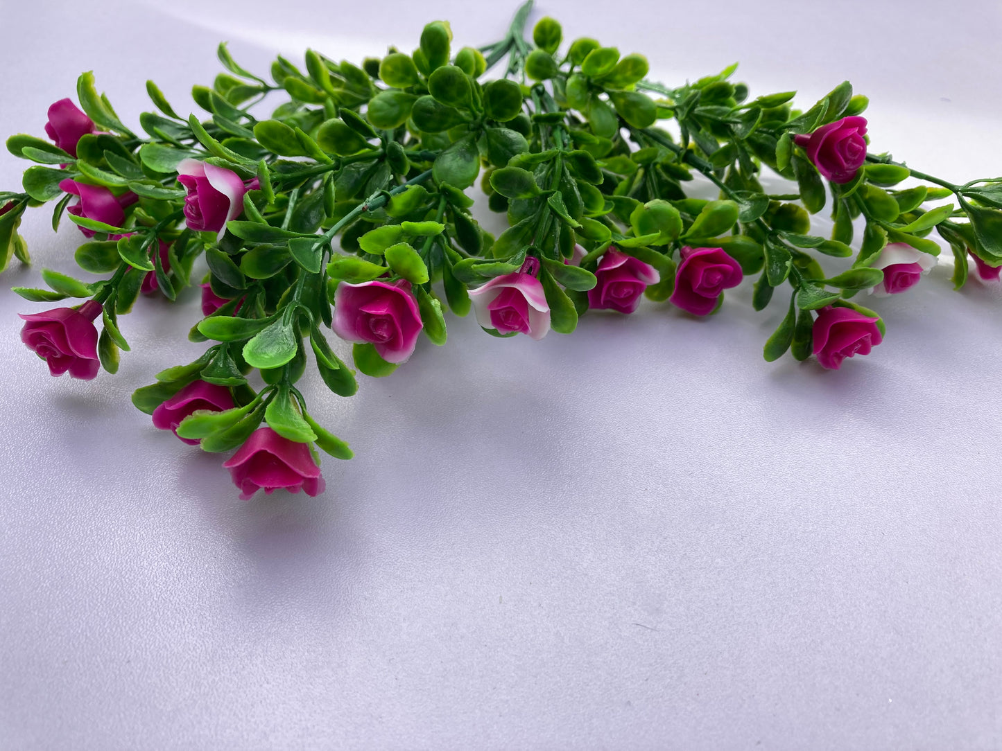 Mauve Small Rose Bush