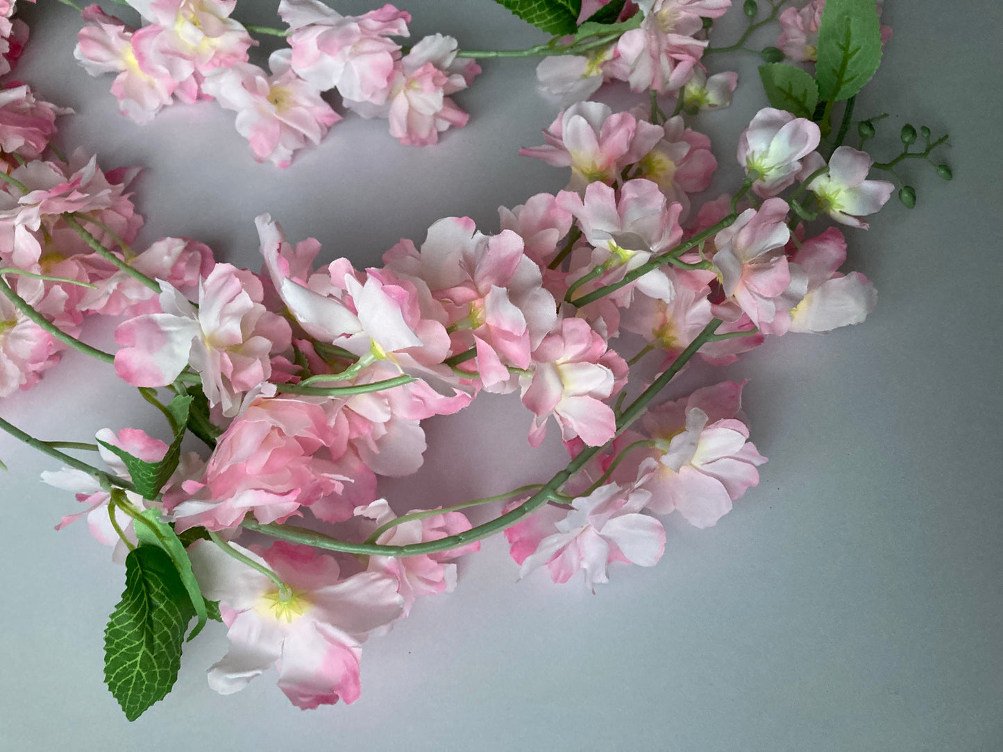 Pink Delphinium Trailing