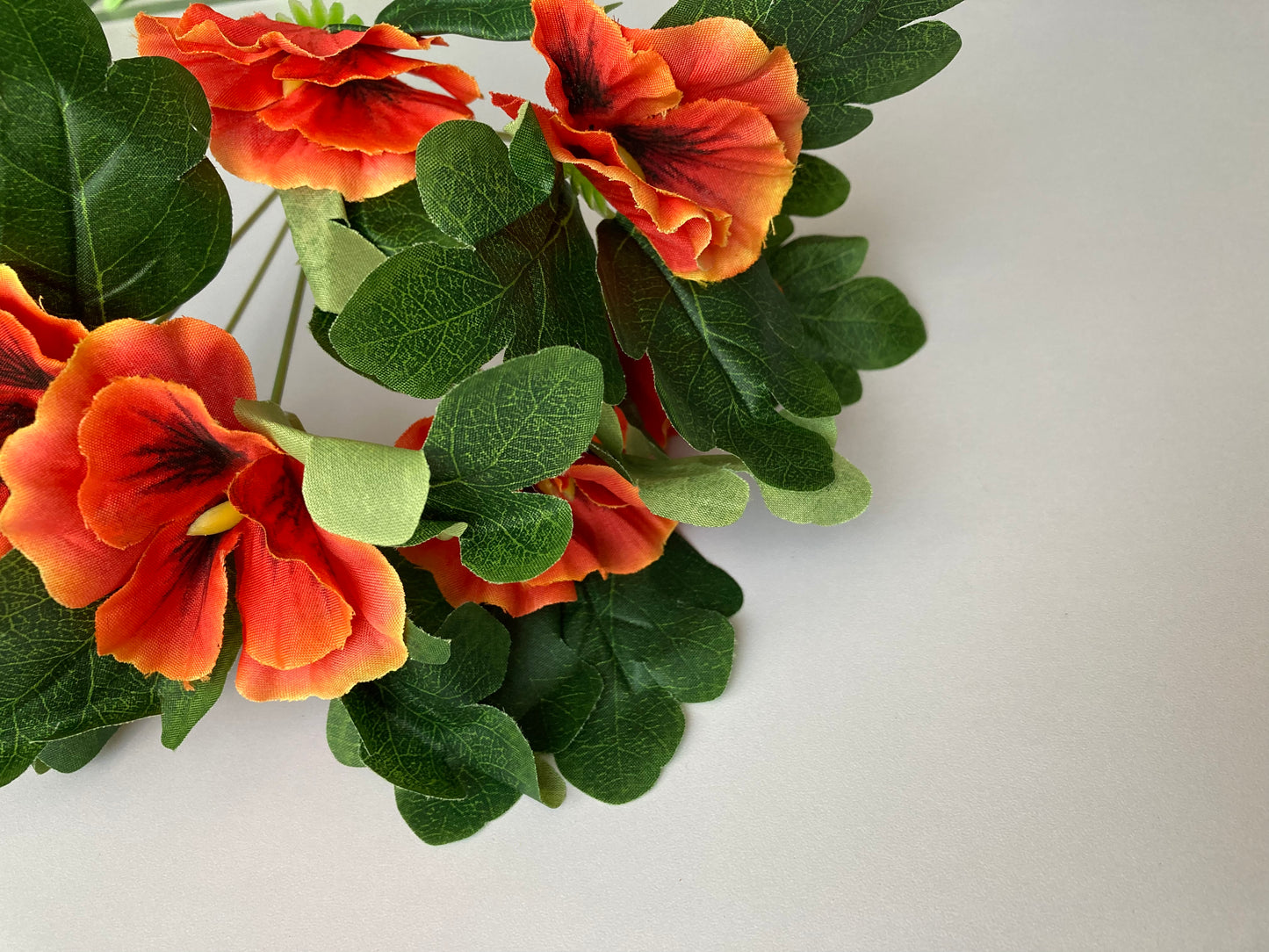 Orange Pansy Bunch