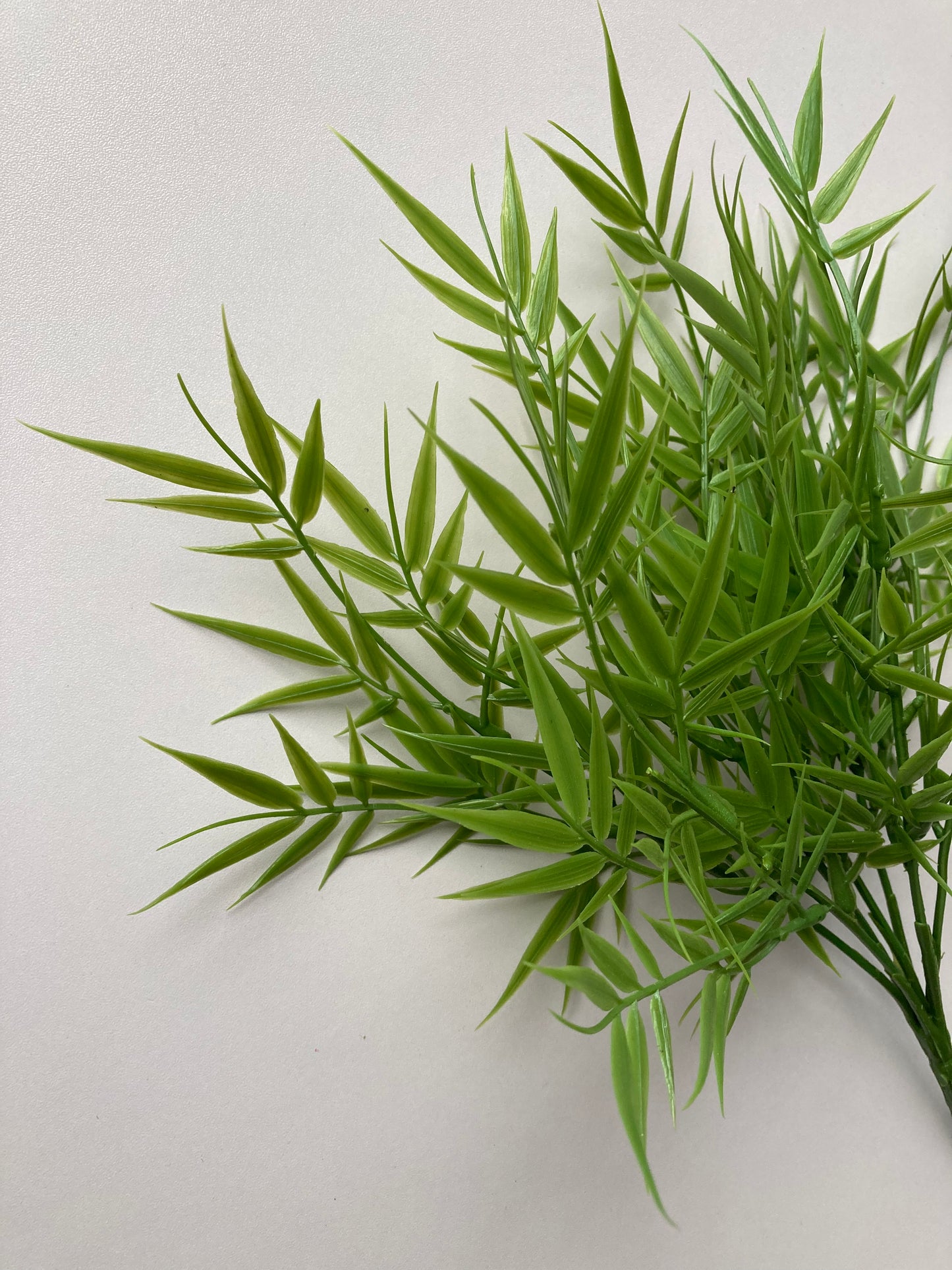Small Bamboo Foliage