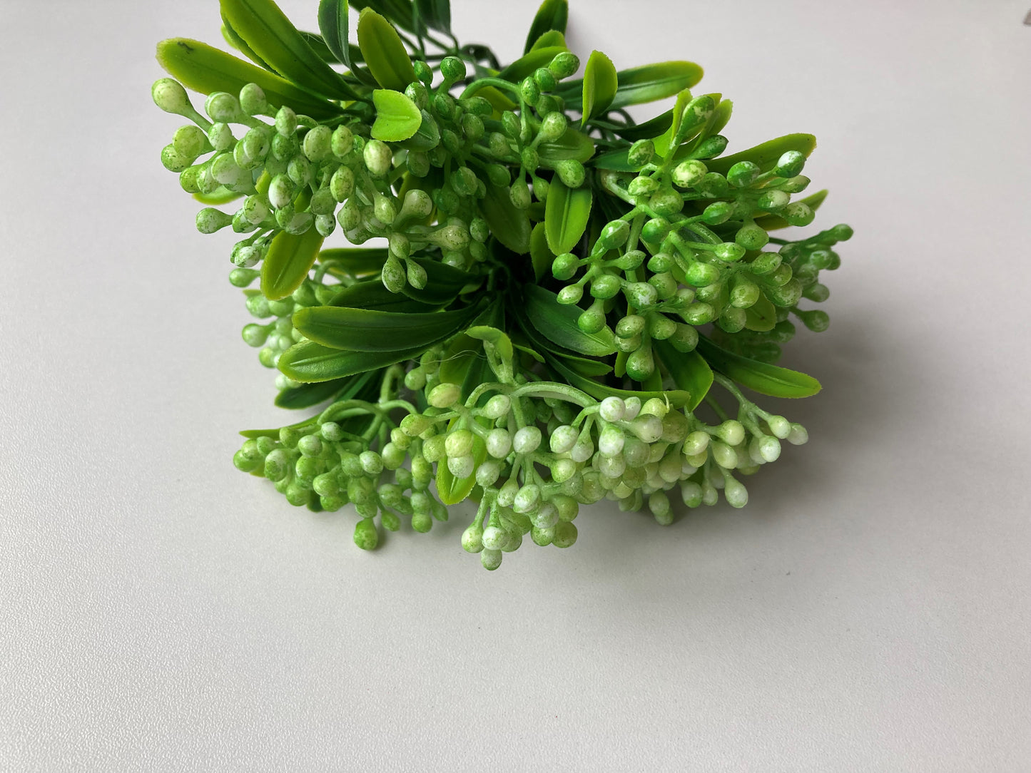 Green Berries