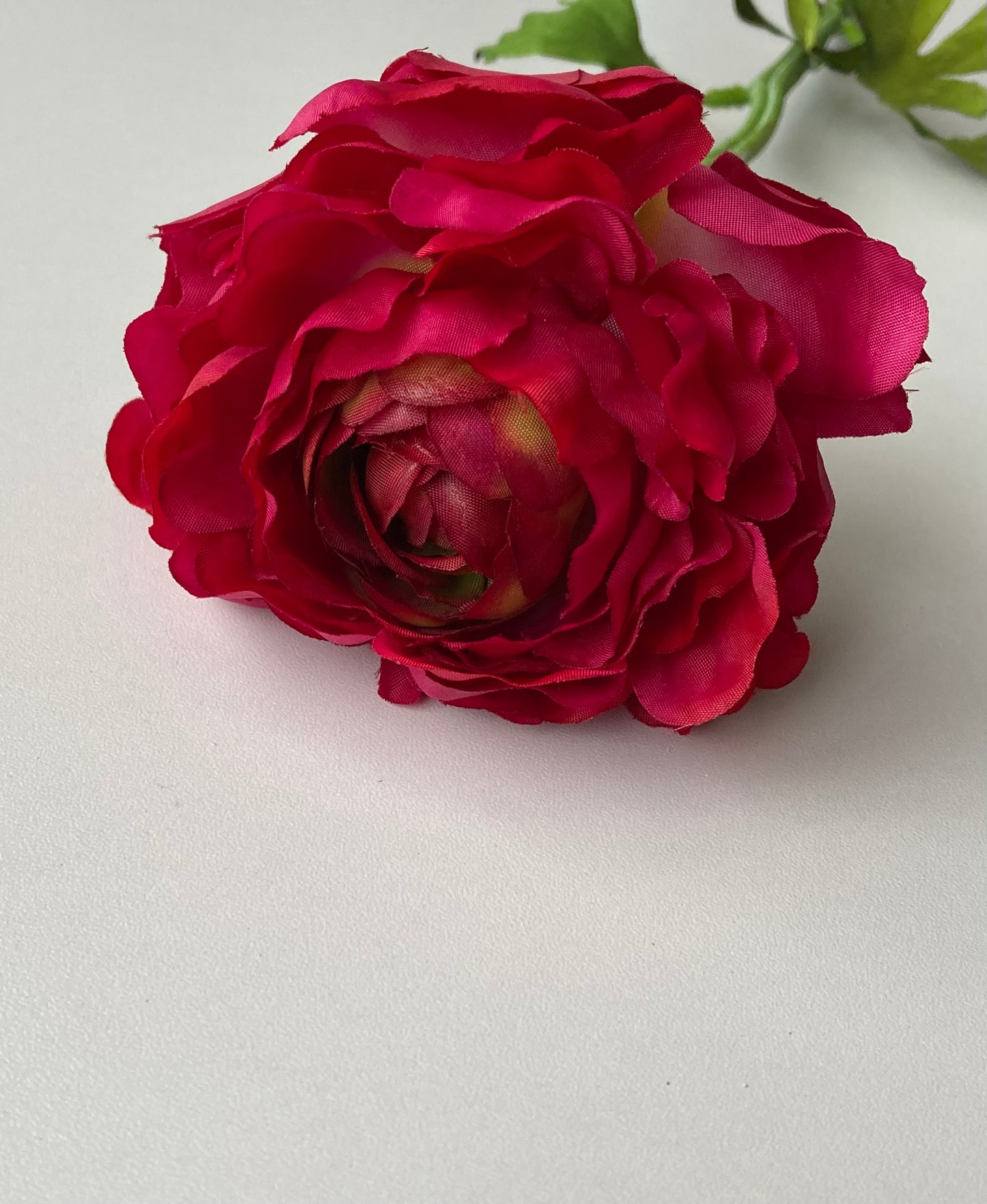 Open Deluxe Ranunculus Stem