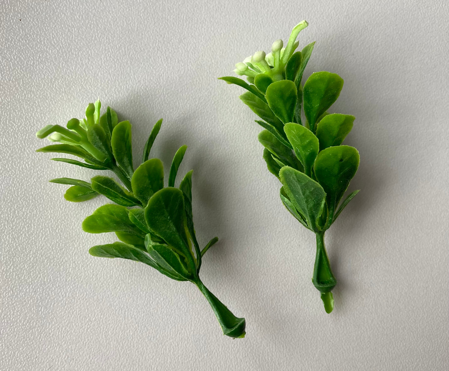 Small Flowered Foliage