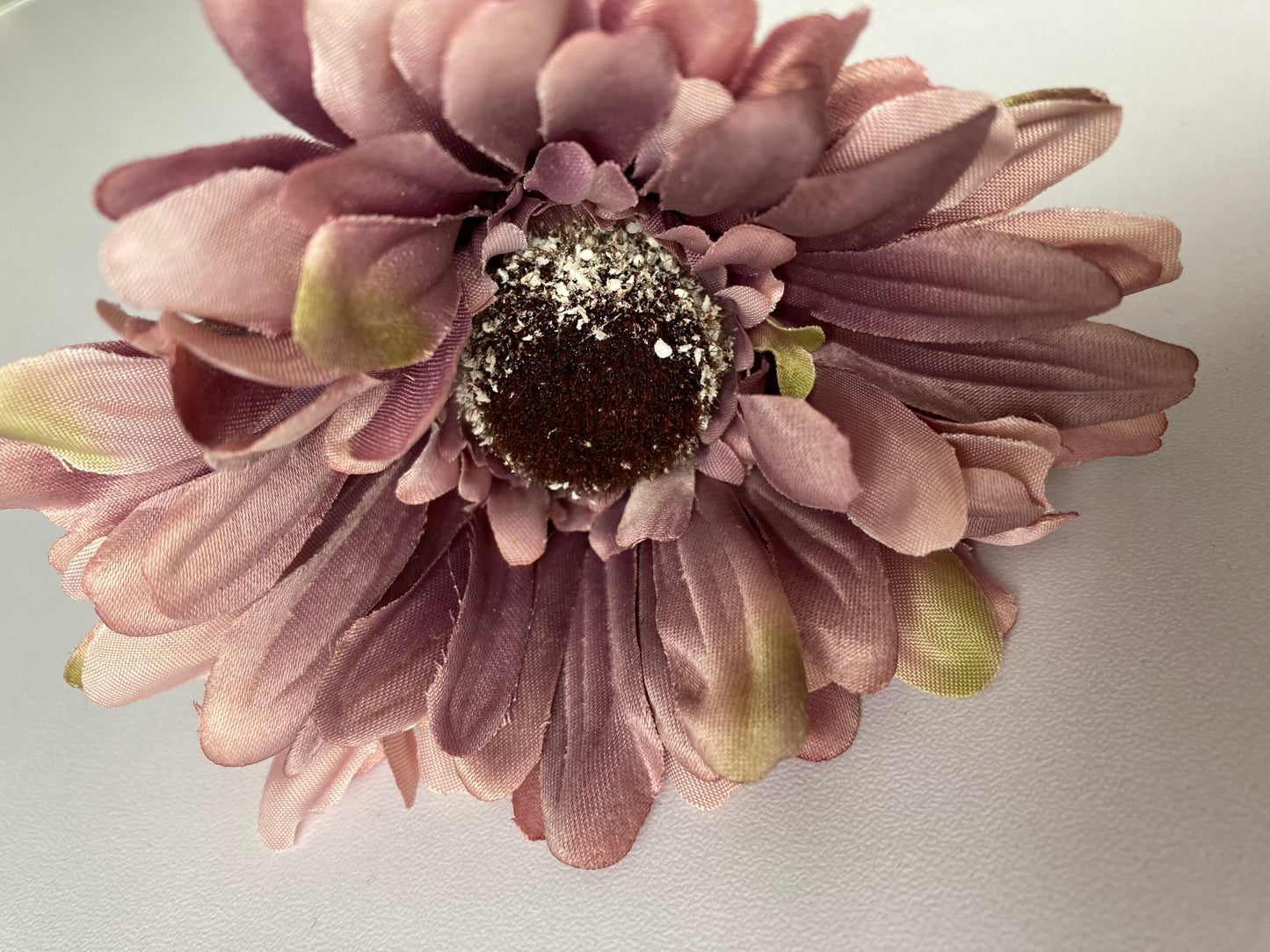 Mauve Gerbera