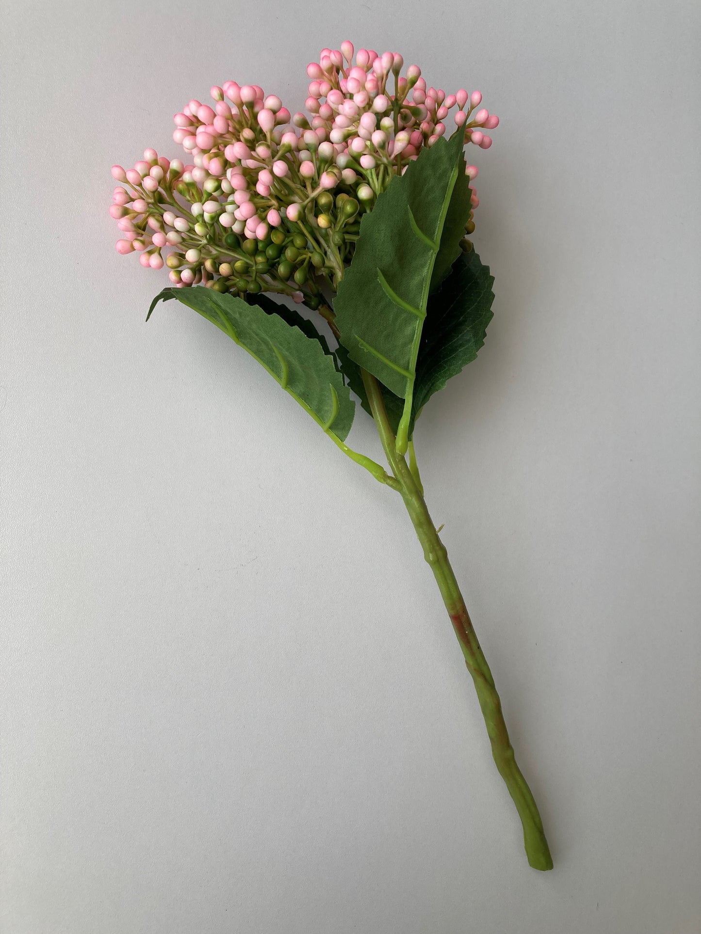 Pink Cluster Berries