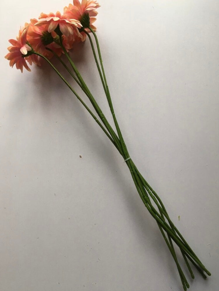 Peach Mini Gerbera Bunch