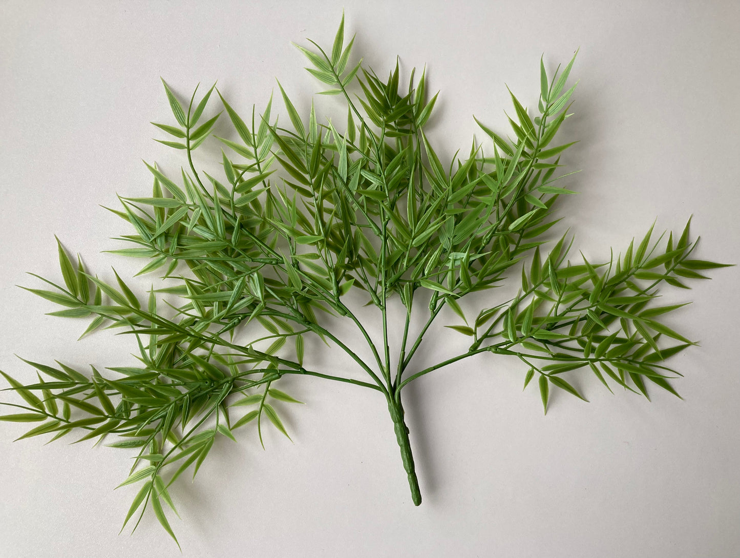 Small Bamboo Foliage