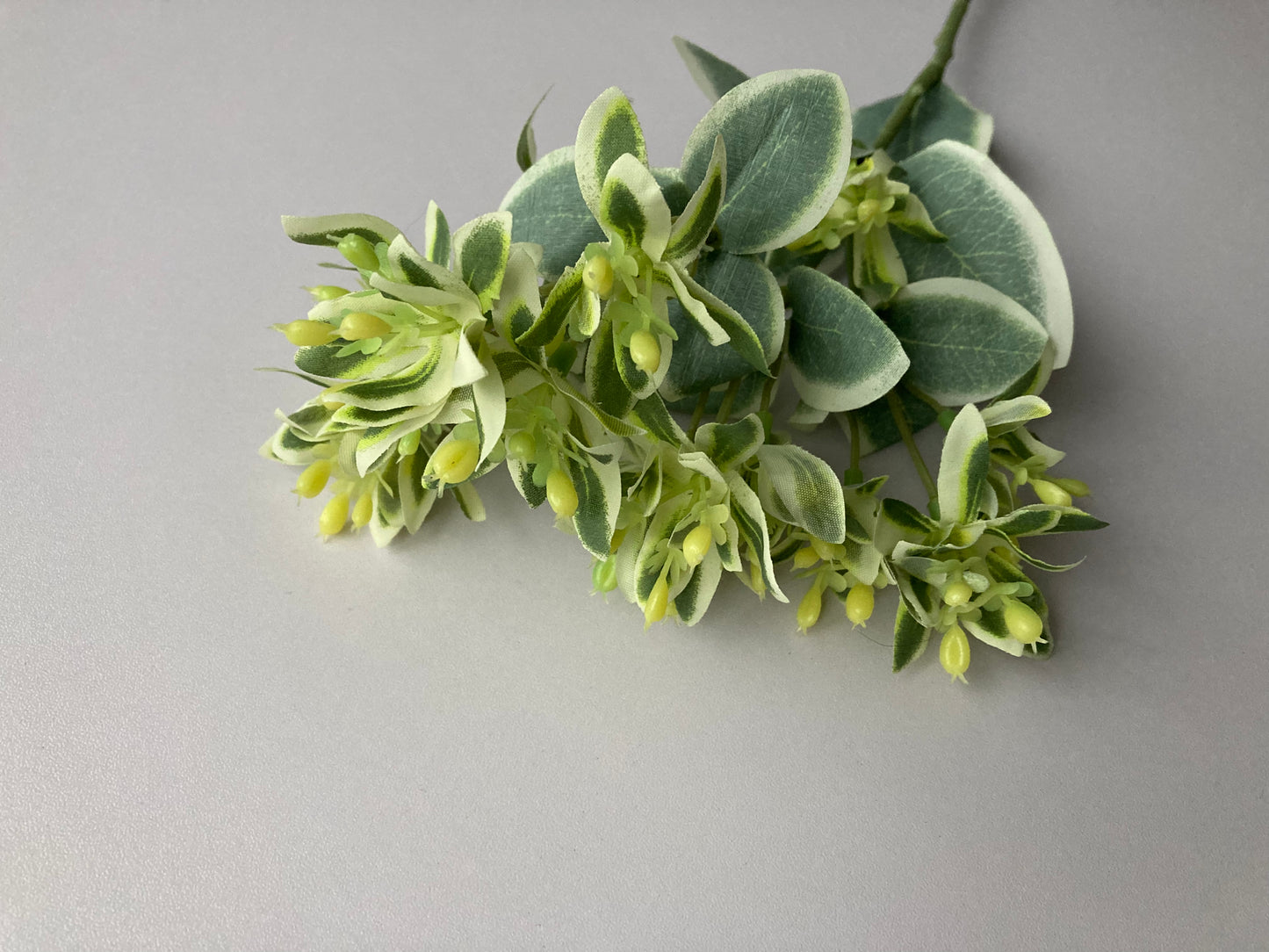Euphorbia Foliage Spray