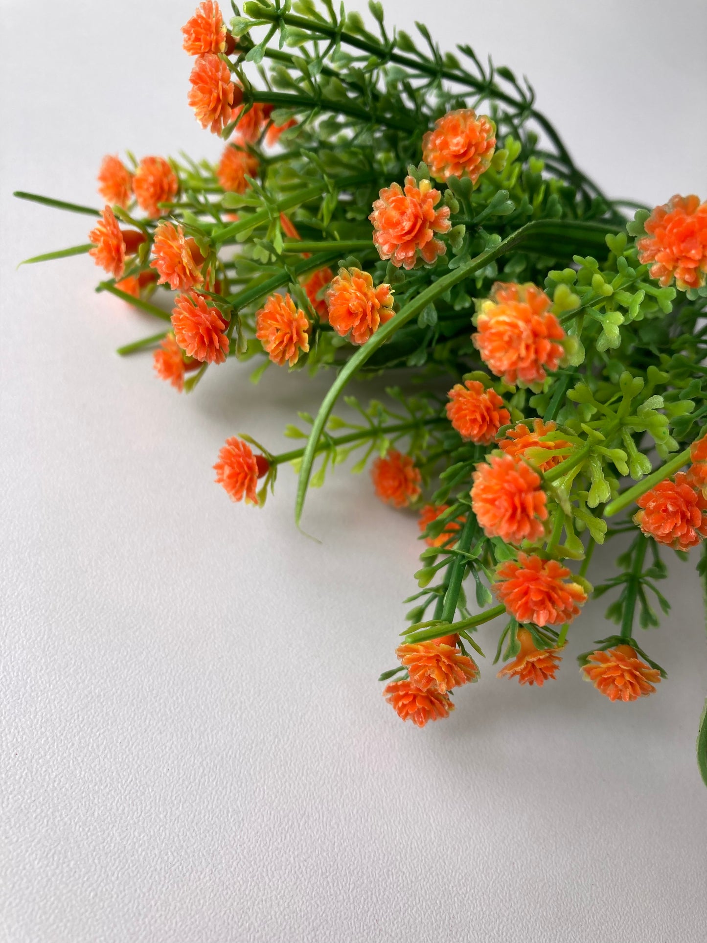 Small Orange Gyp Foliage