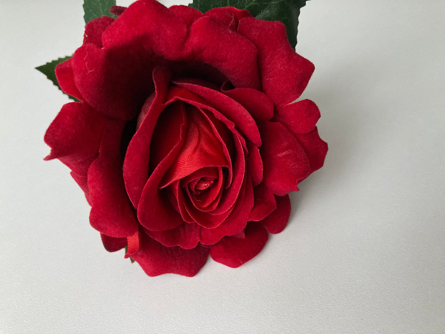 Velvet Short Stem Red Rose