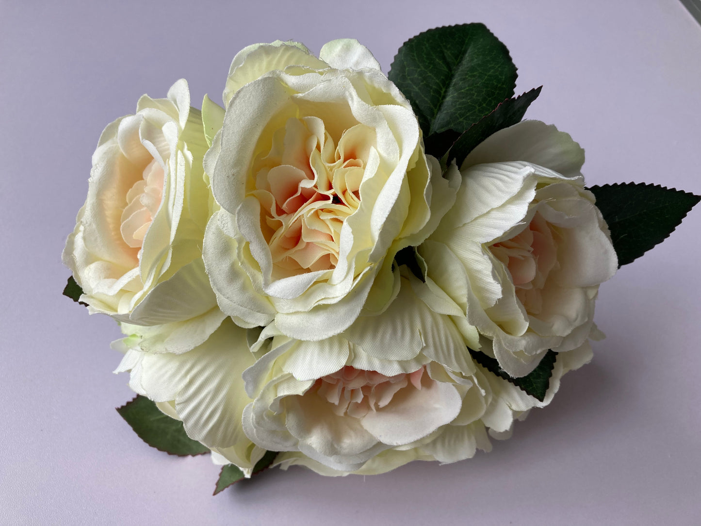 Cabbage Roses