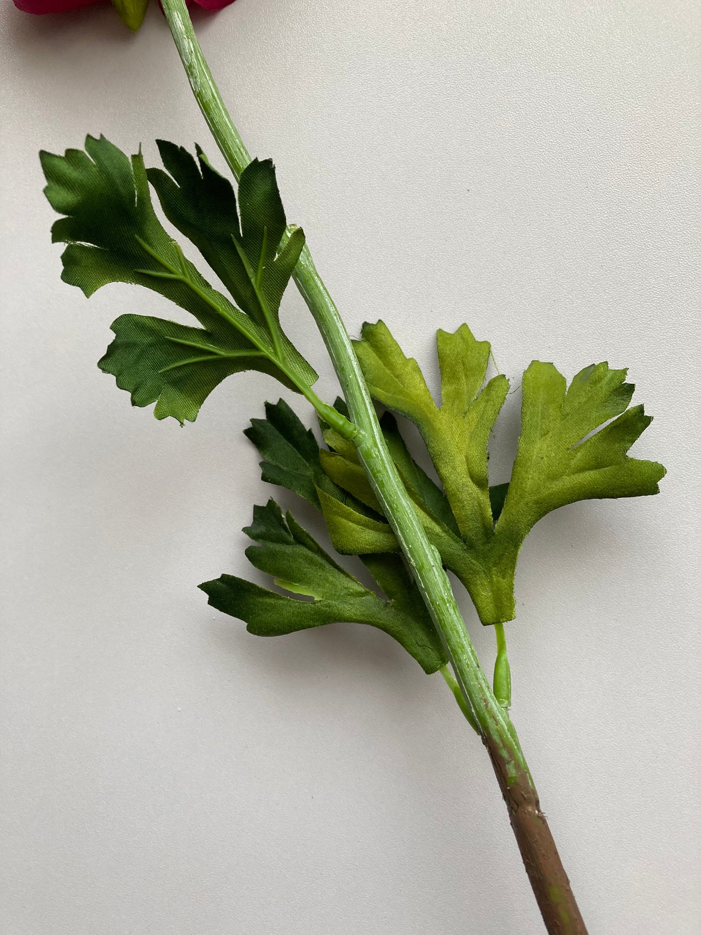 Open Deluxe Ranunculus Stem