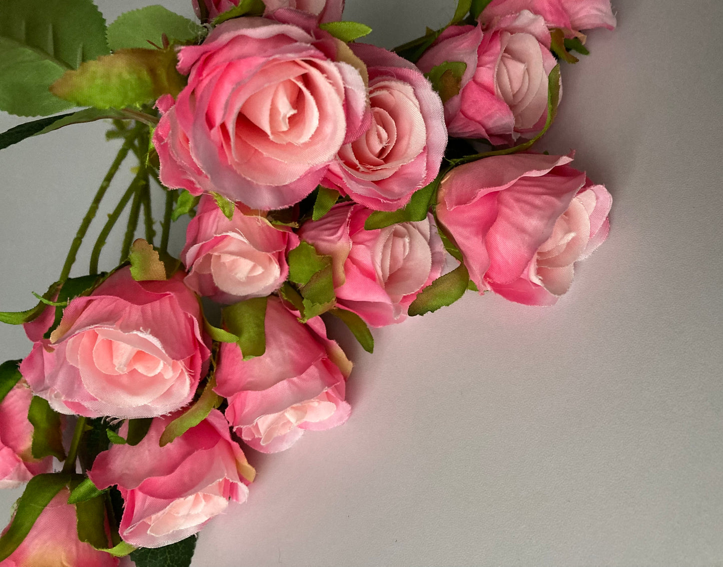 15 Pink Rosebuds Bunch