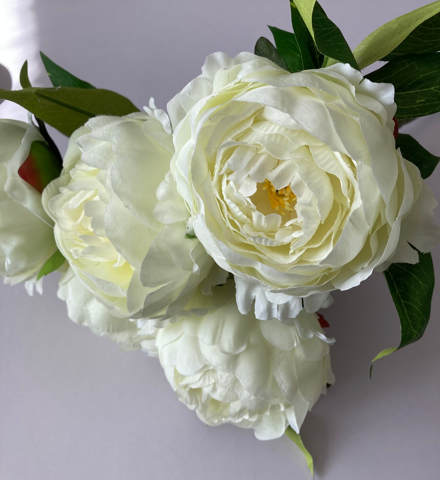 Large 5 Stem Ivory Peony Bunch