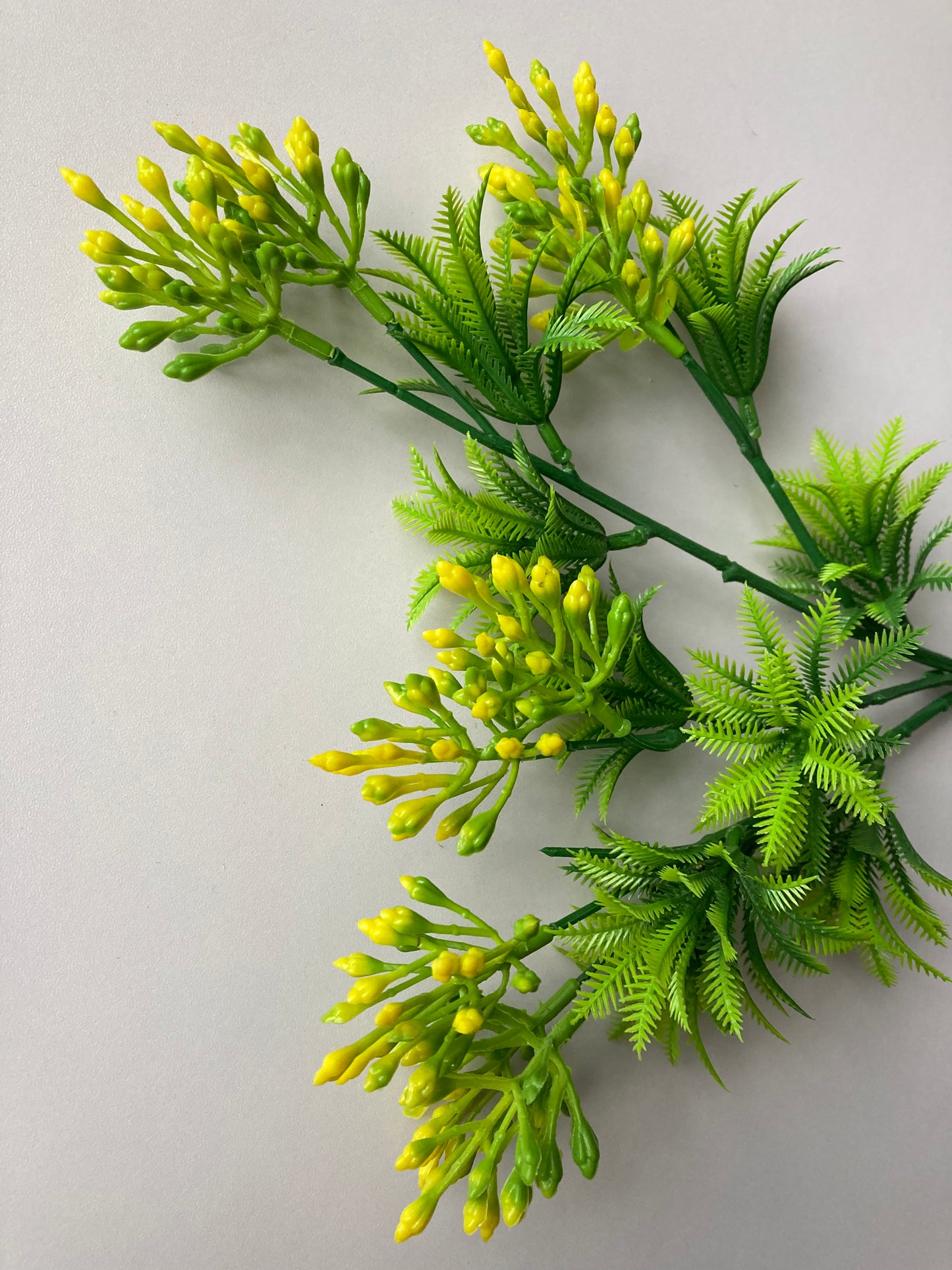Yellow Berry Bush