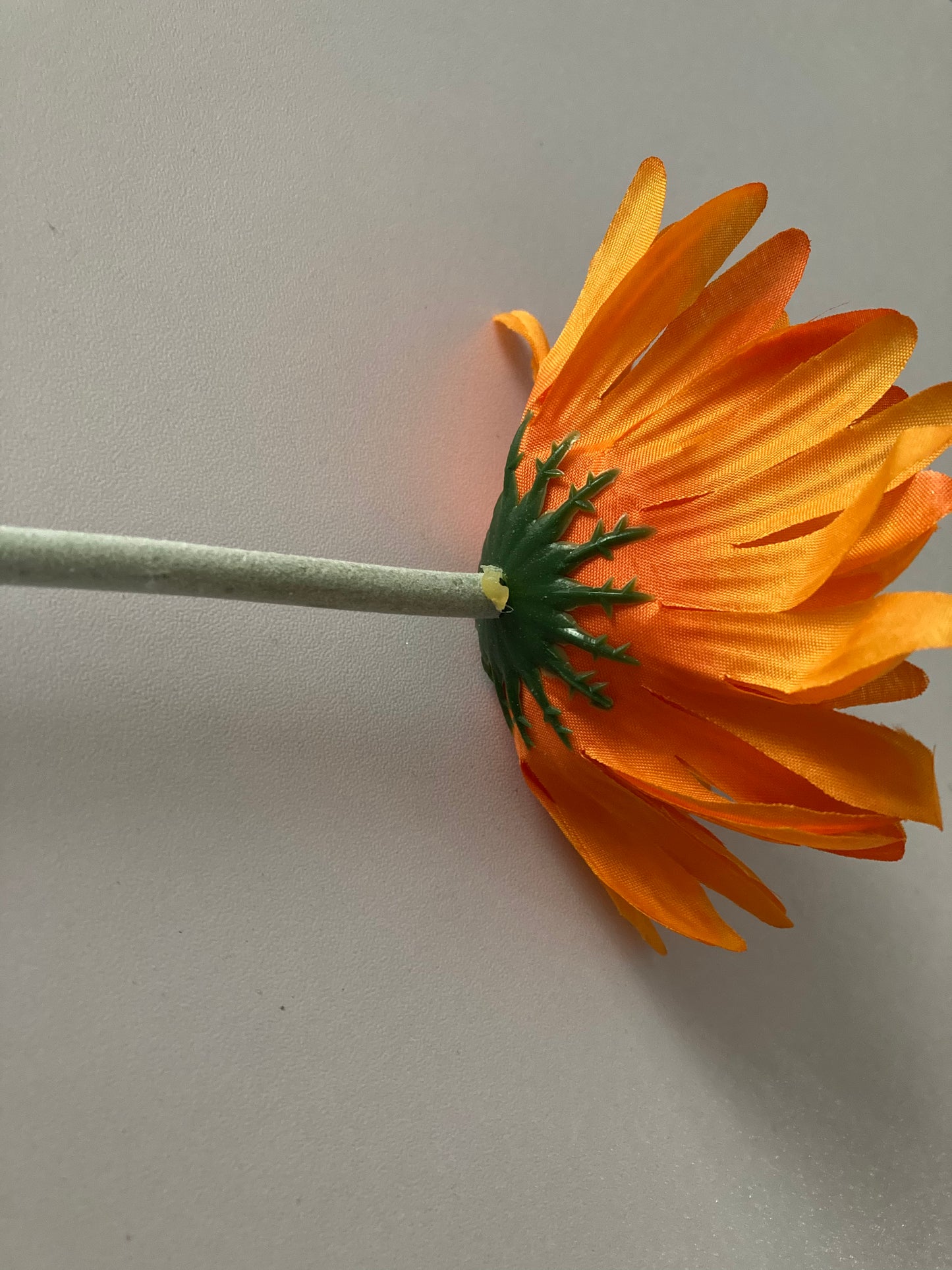 Orange Spike Gerbera Stem