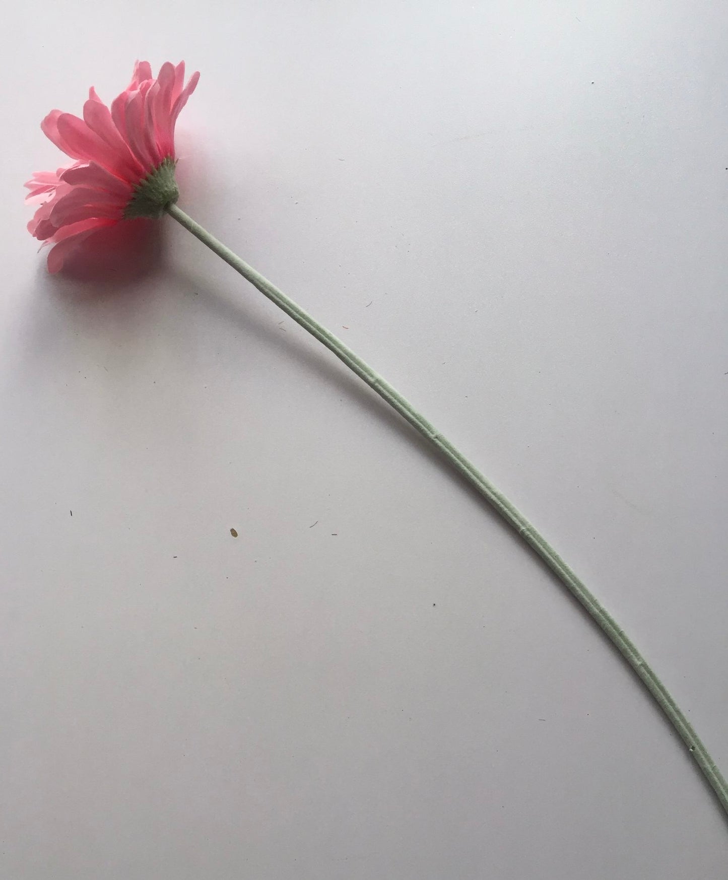 Light Pink Gerbera Single Stem