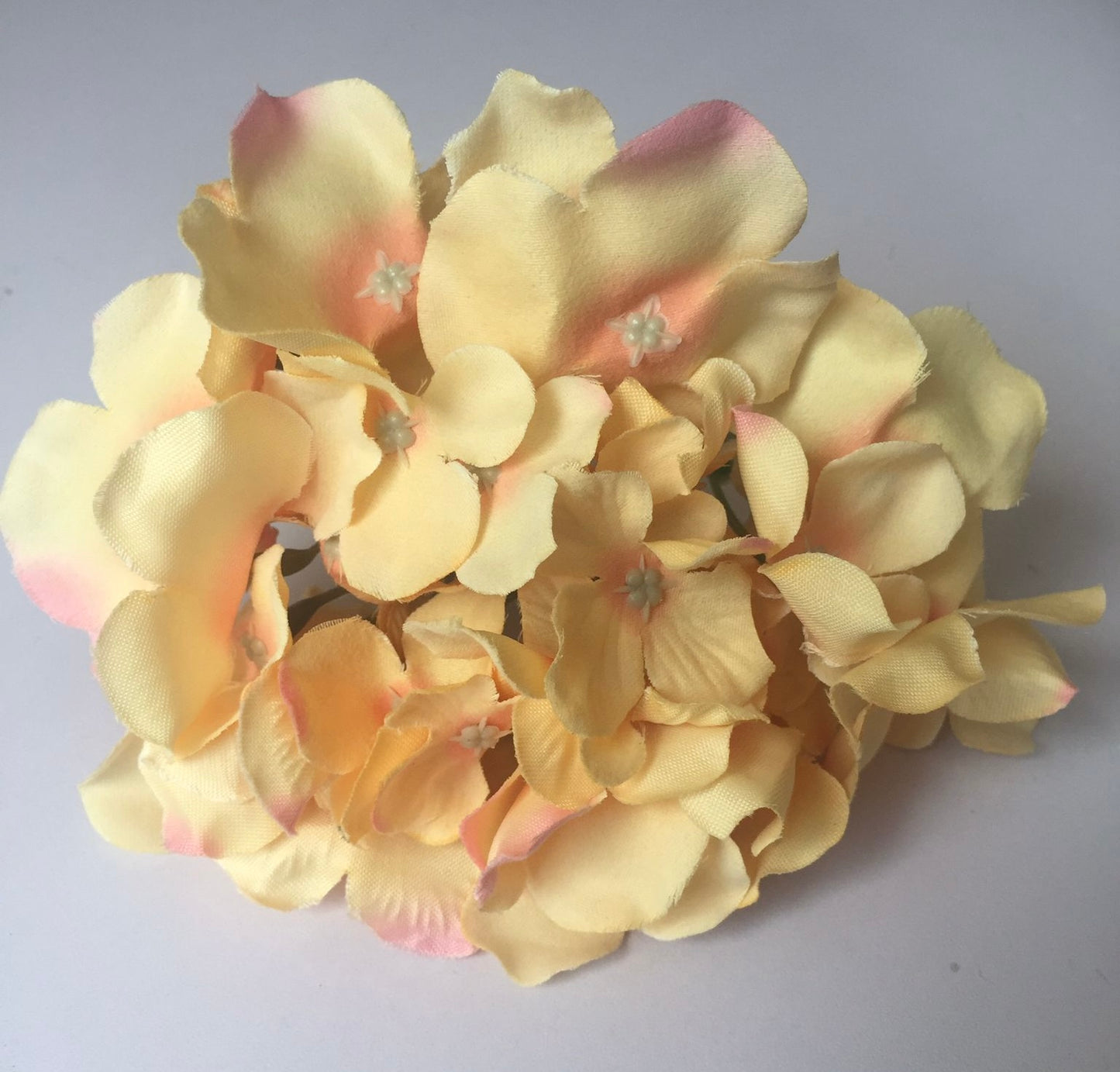 5 Peach Hydrangea Bunch Heads