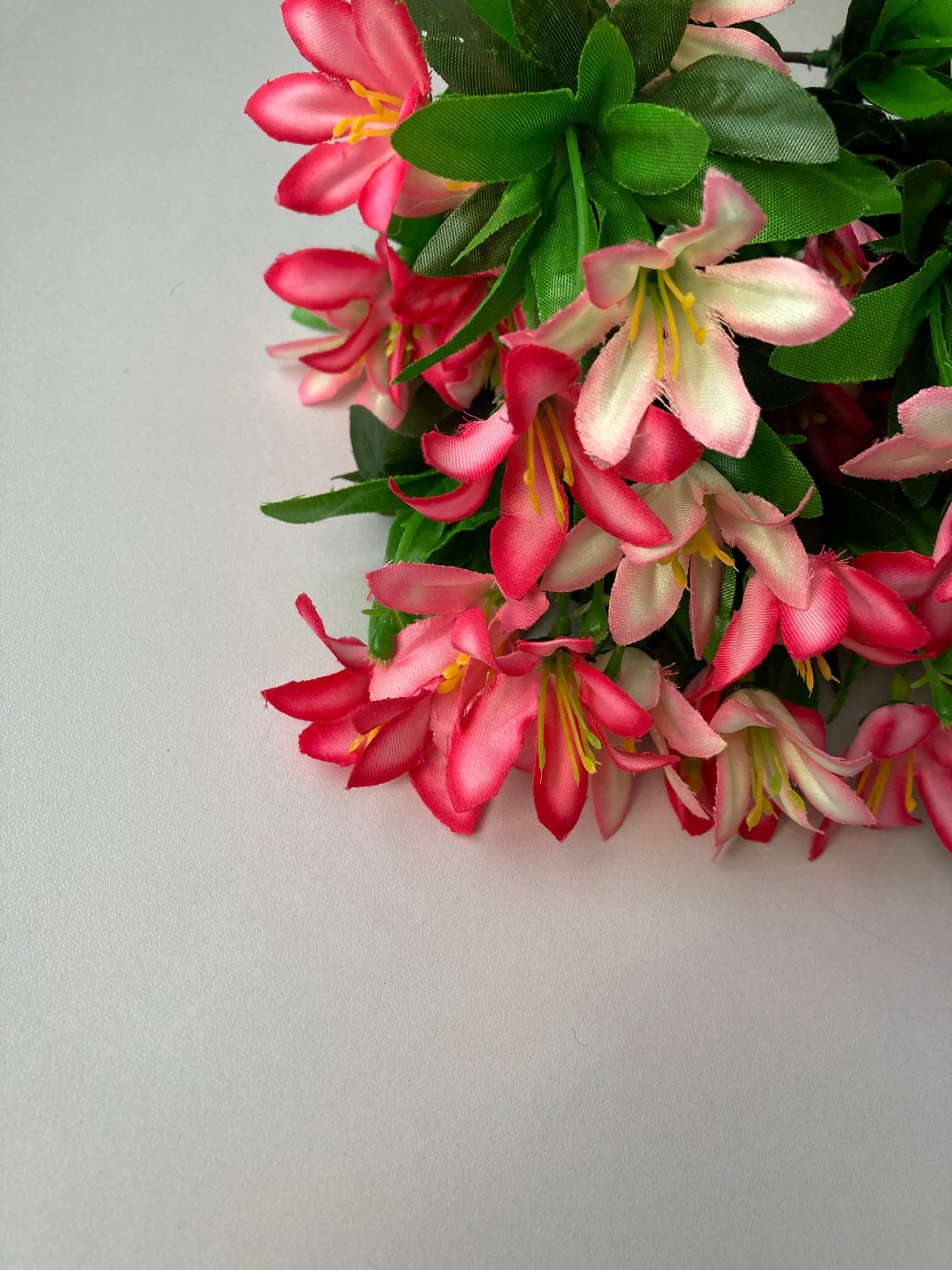 Pink Wild Lily Bush