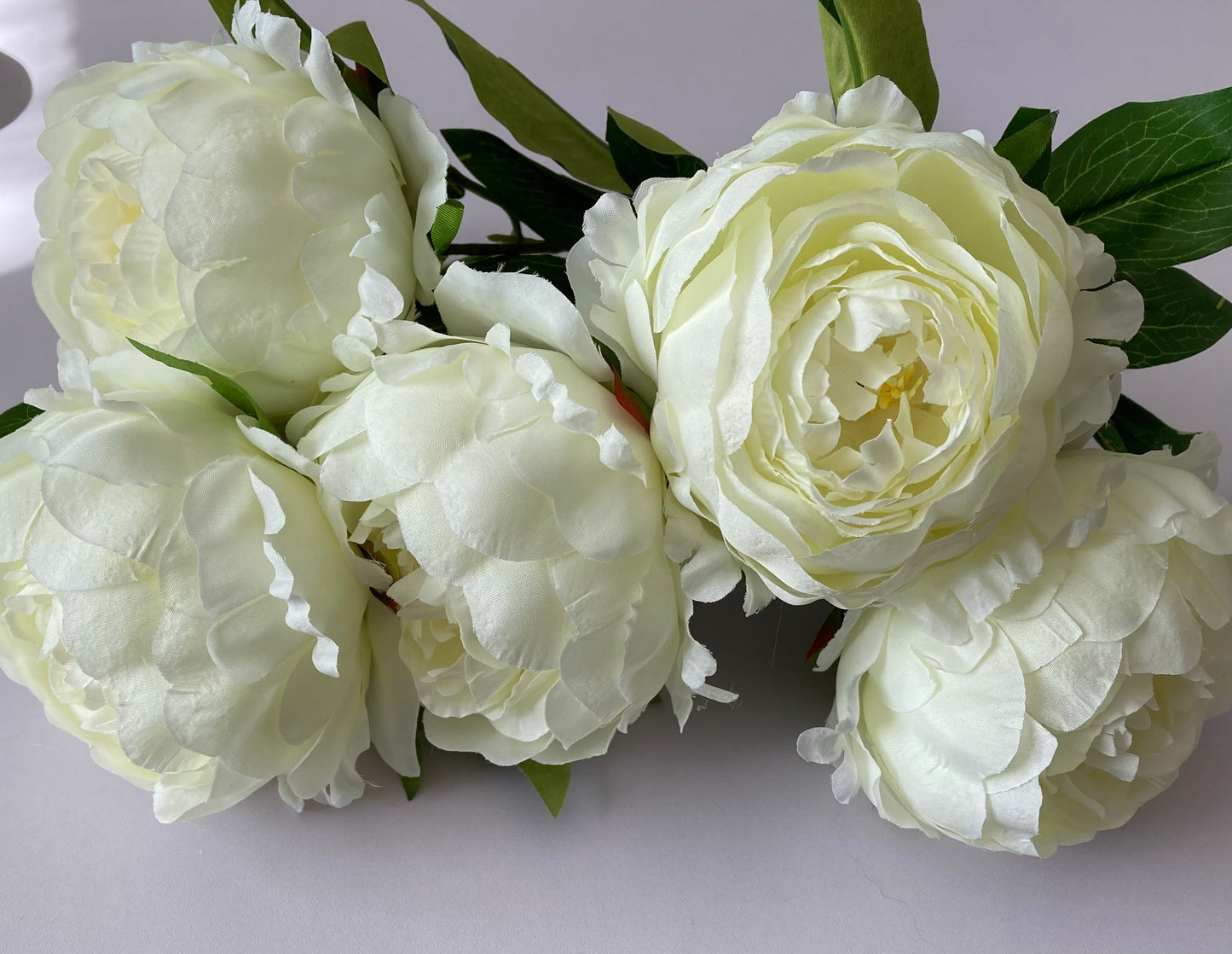 Large 5 Stem Ivory Peony Bunch