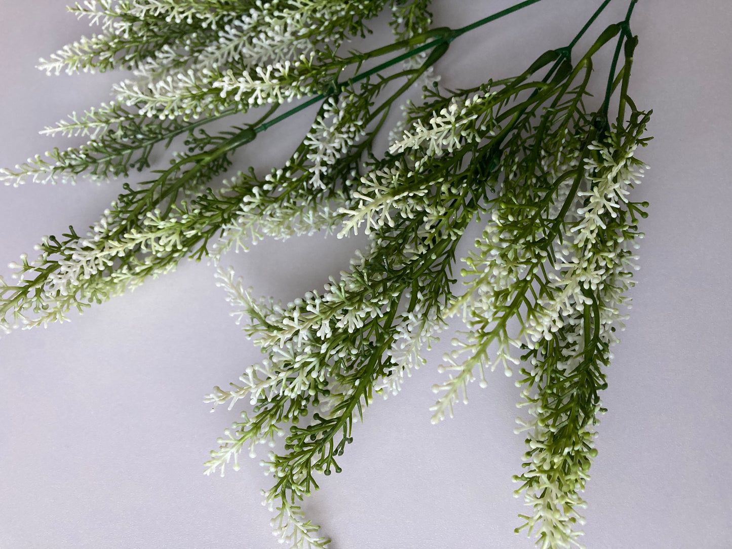 White Tipped Astilbe Bunch