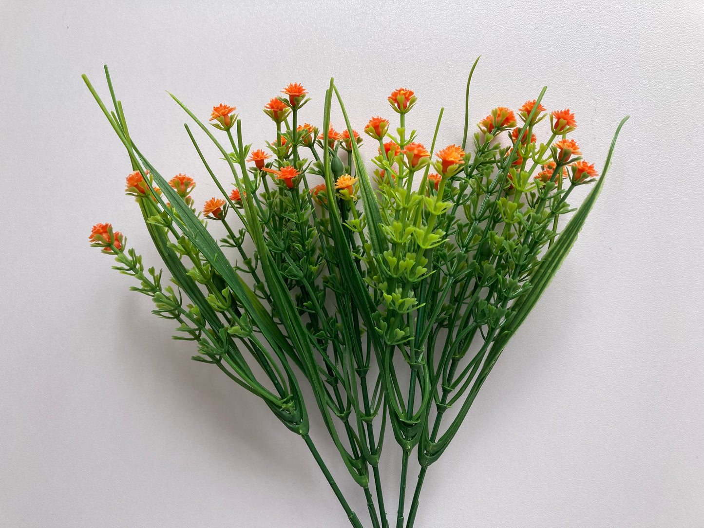 Small Orange Gyp Foliage