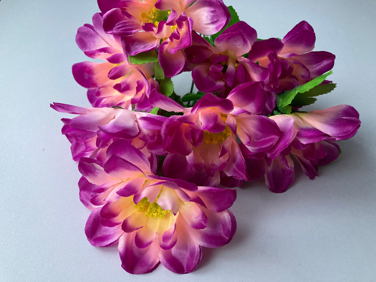 Purple Tipped Dahlia Bunch