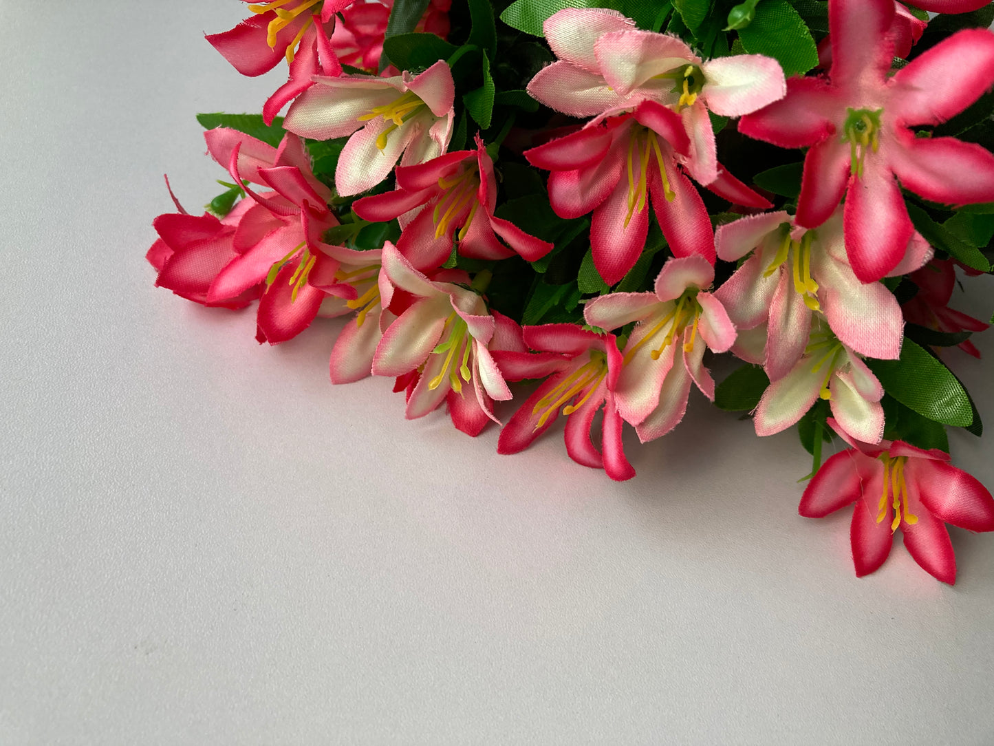 Pink Wild Lily Bush