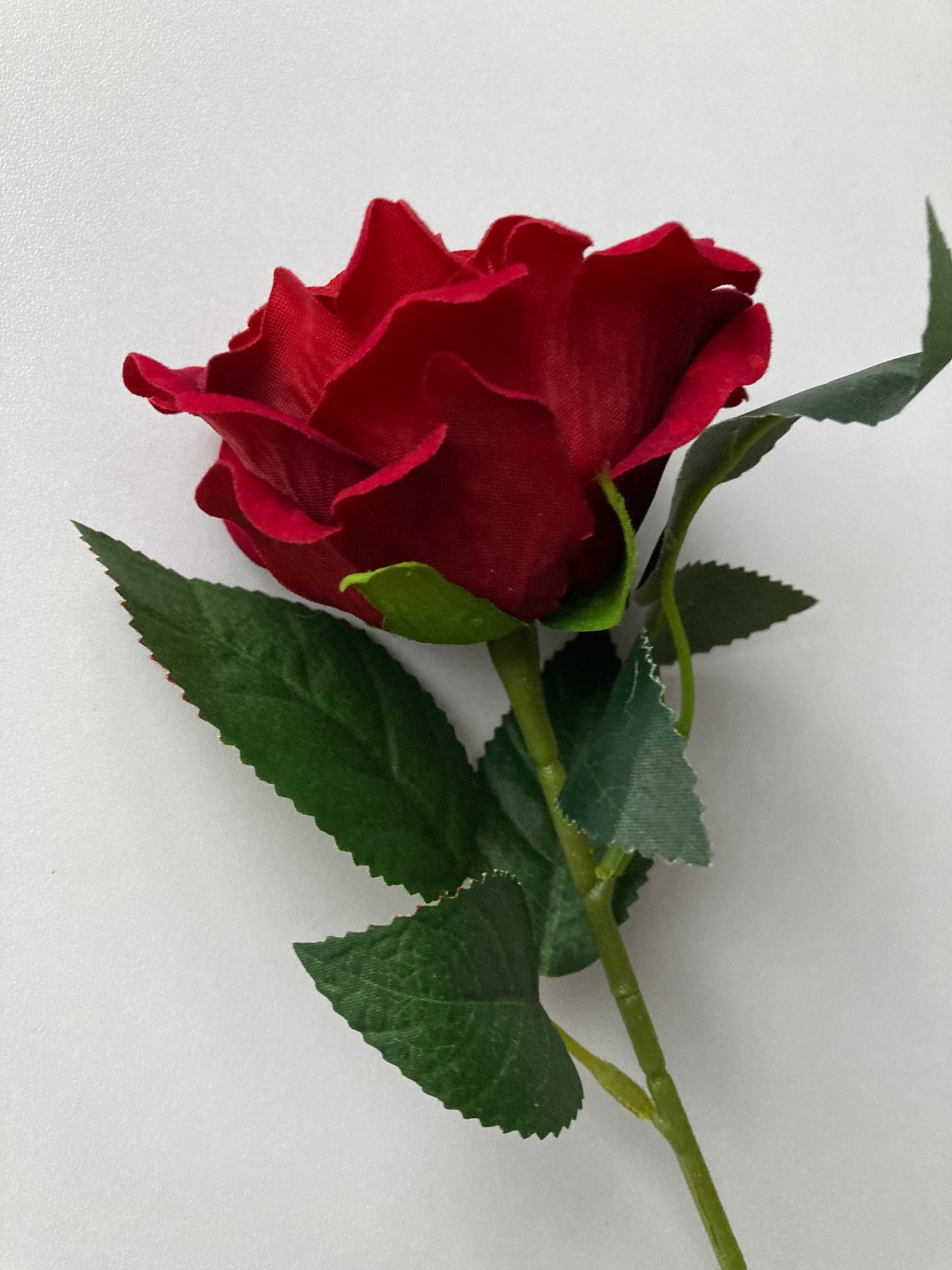 Velvet Short Stem Red Rose